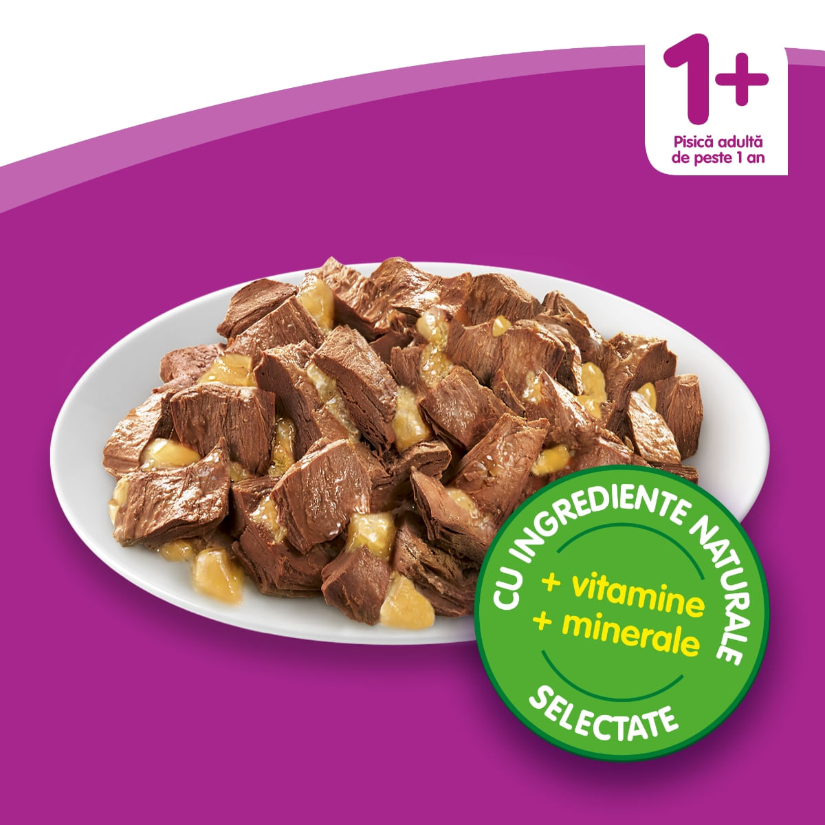 WHISKAS Casserole, Vită, hrană umedă pisici, (în aspic) WHISKAS Casserole, Vită, plic hrană umedă pisici, (în aspic), 85g - 3 | YEO