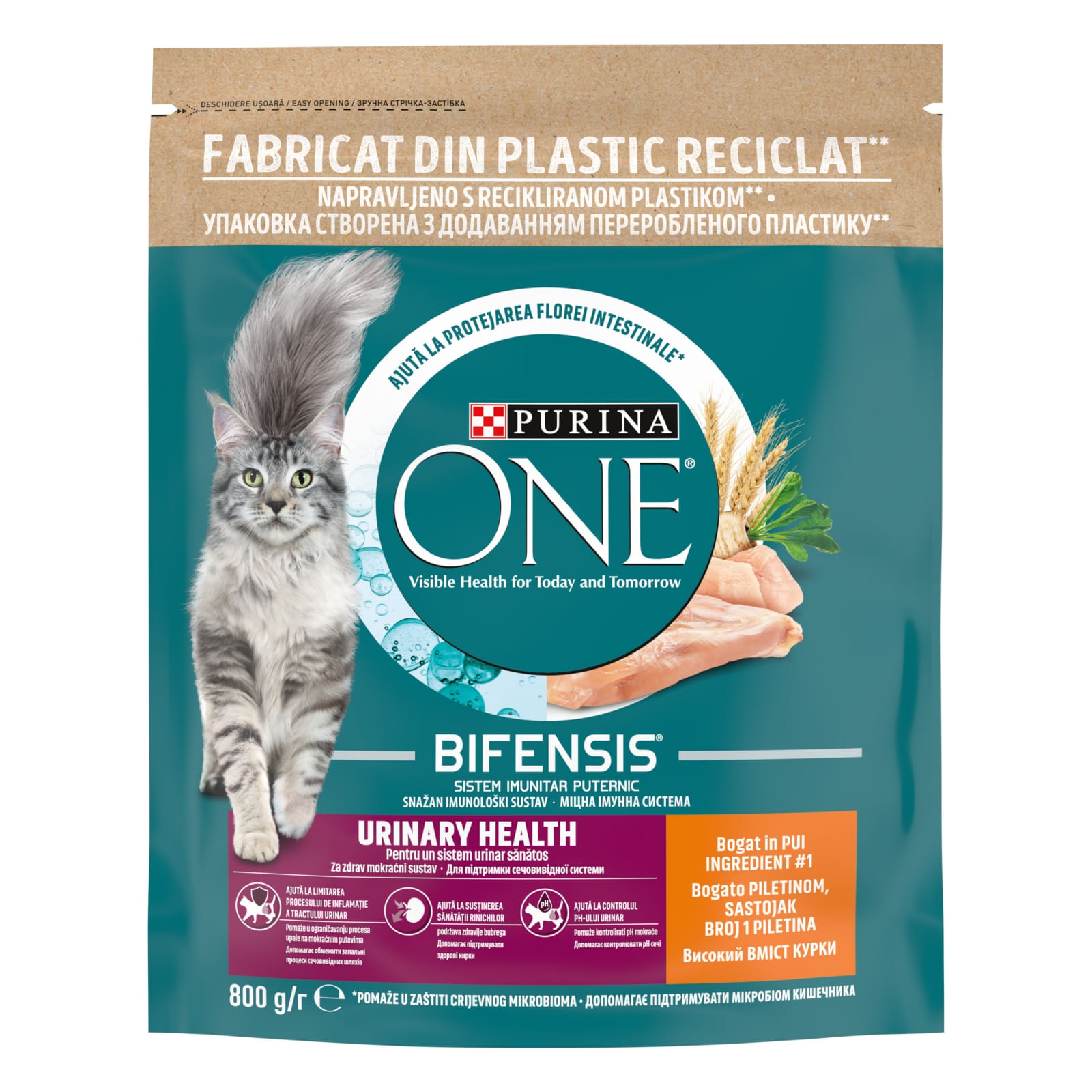 PURINA One Urinary Care, Pui, hrană uscată pisici, sensibilități urinare, 800g - 1 | YEO