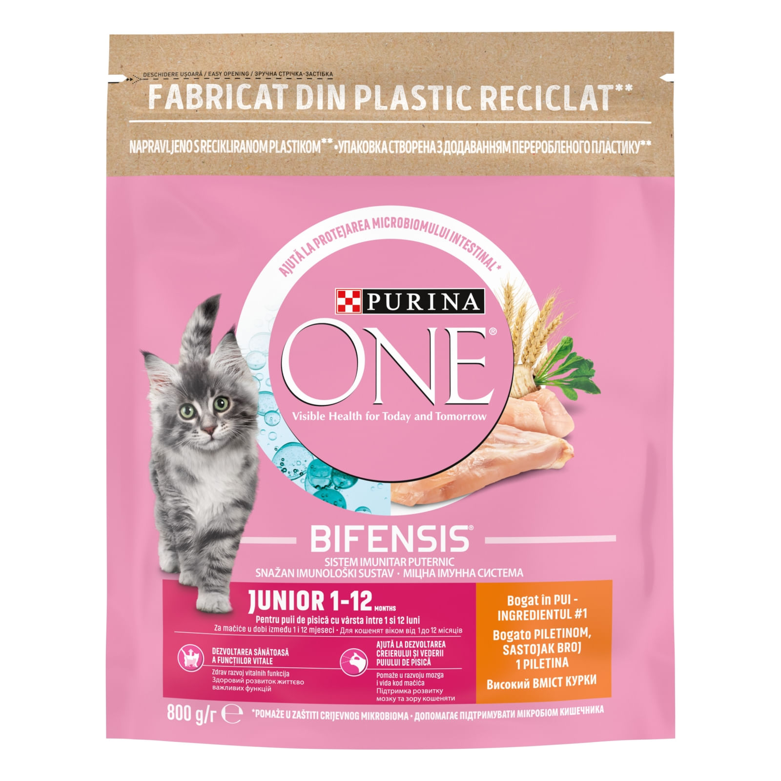 PURINA One Junior, Pui cu Cereale Integrale, hrană uscată pisici junior, 800g - 2 | YEO