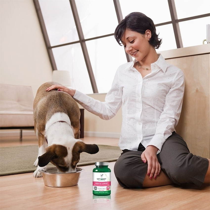 Vet&#039;s Best Supliment Nutritiv pentru Caini, Imunitate, 60 tablete