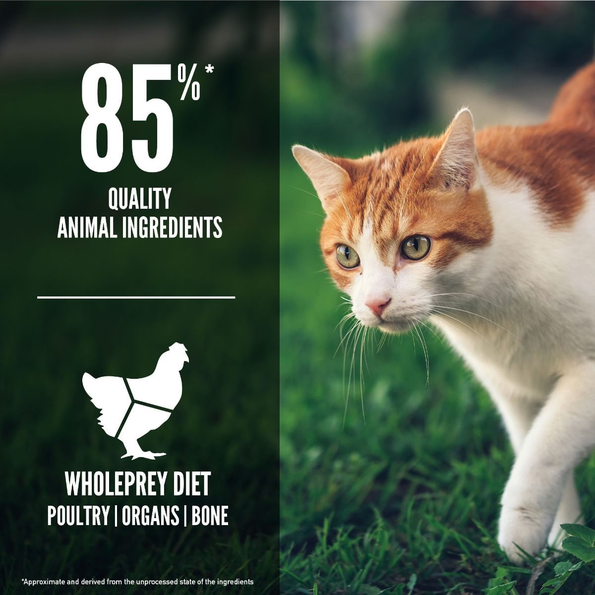 ORIJEN Fit &amp; Trim, Pasăre și Pește, hrană uscată fără cereale pisici, obezitate, 5.4kg