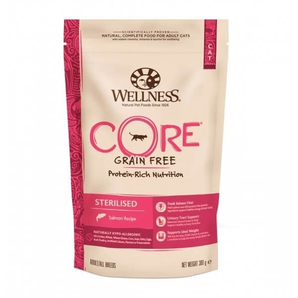 Hrana Uscata Wellness Core Dry Sterilised cu Somon, 300 g