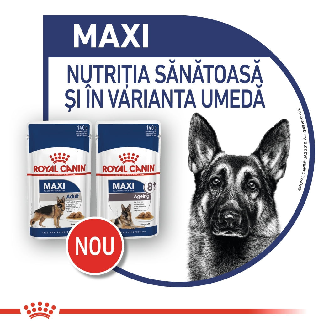 Royal Canin Maxi Adult, hrană umedă câini, (în sos) Royal Canin Maxi Adult, plic hrană umedă câini, (în sos), 140g
