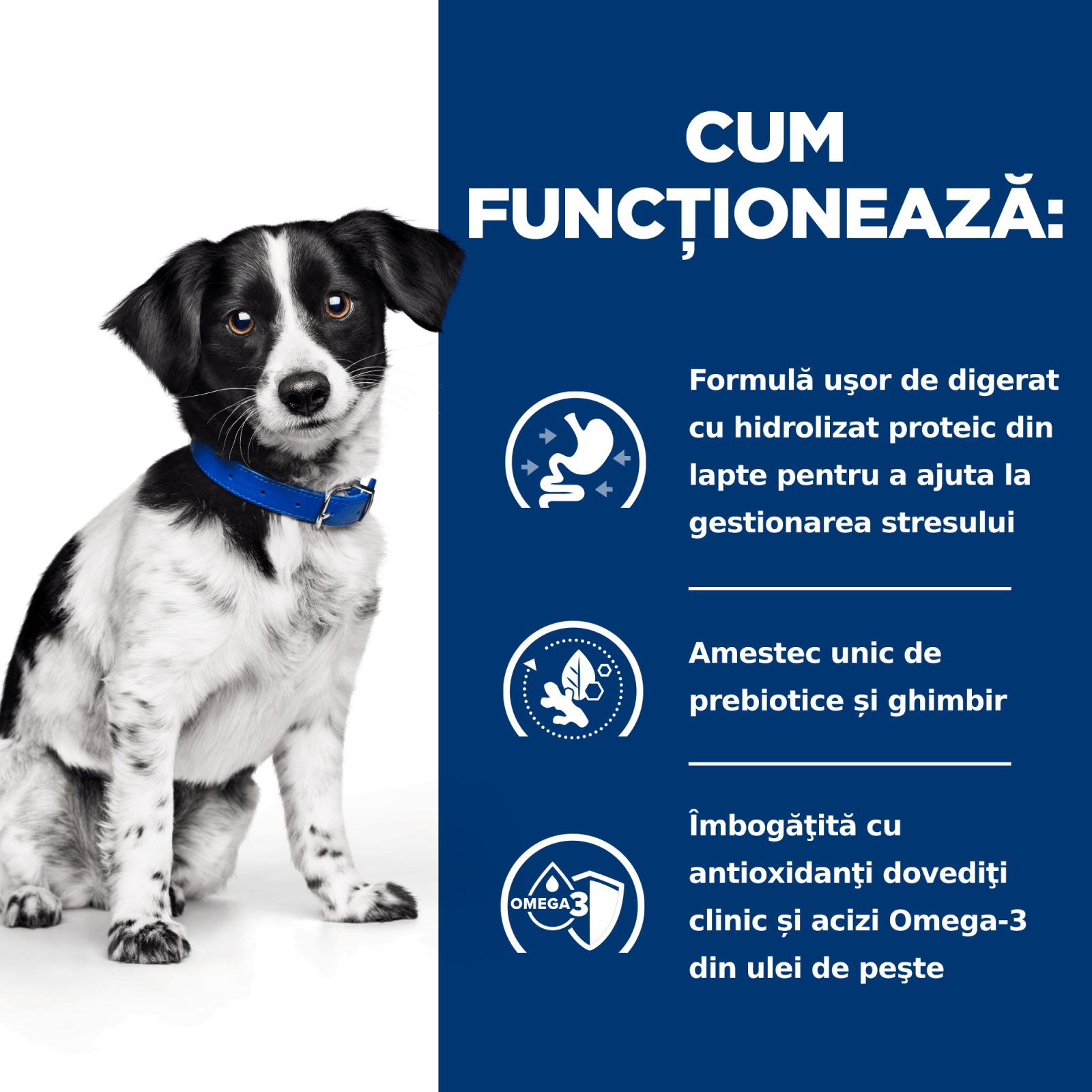 HILL&#039;S Prescription Diet i/d Digestive Care Stress, Pui cu Legume, dietă veterinară câini, conservă hrană umedă, sistem digestiv, (în sos), 156g