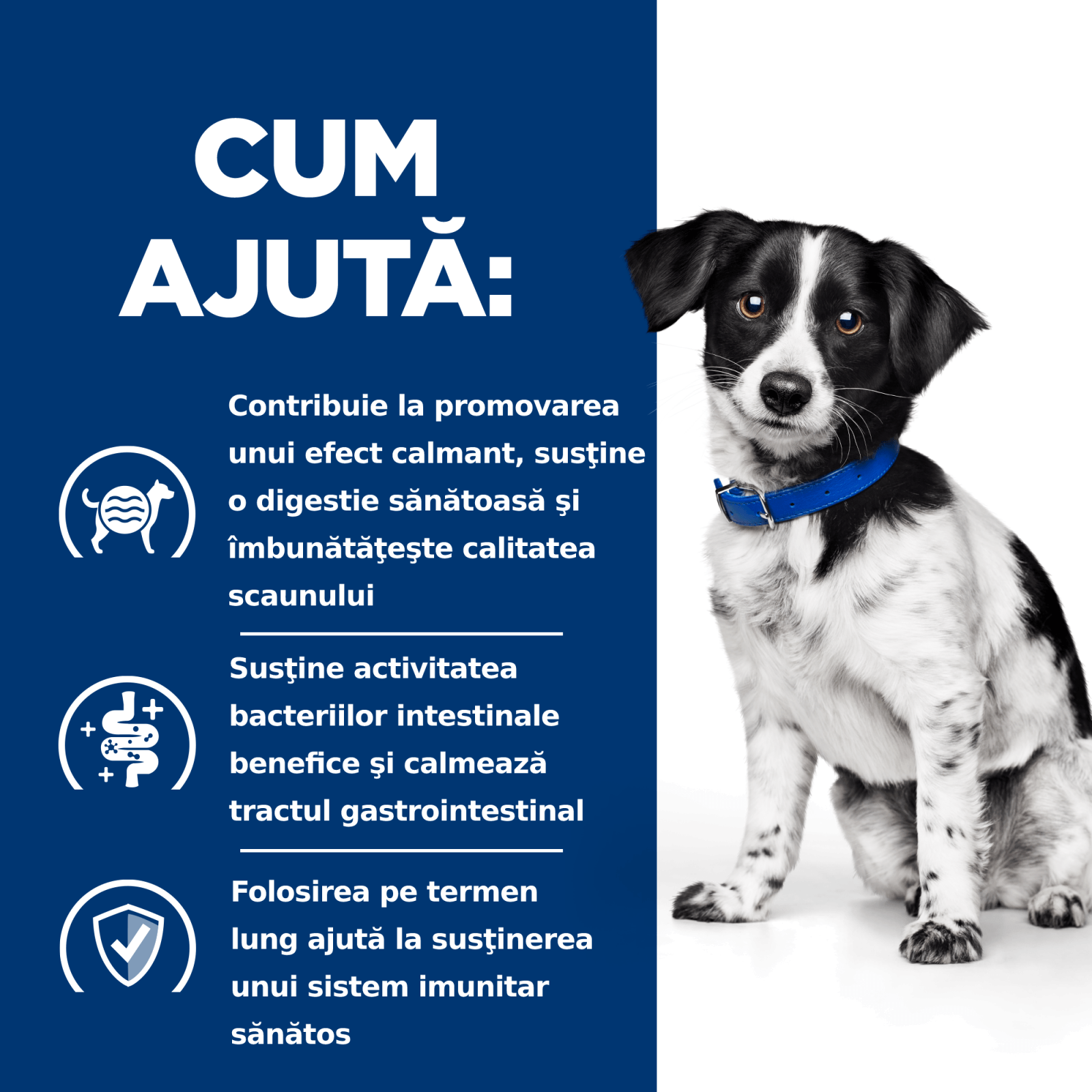 HILL&#039;S Prescription Diet i/d Digestive Care Stress, Pui cu Legume, dietă veterinară câini, conservă hrană umedă, sistem digestiv, (în sos), 156g
