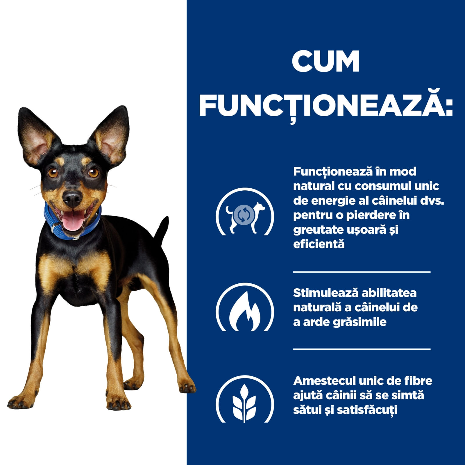 HILL'S Prescription Diet Metabolic, Pui cu Legume, dietă veterinară câini, conservă hrană umedă, afecțiuni metabolice (obezitate) HILL'S Prescription Diet Metabolic Mini, Pui cu Legume, dietă veterinară câini, conservă hrană umedă, metabolism (obezitate