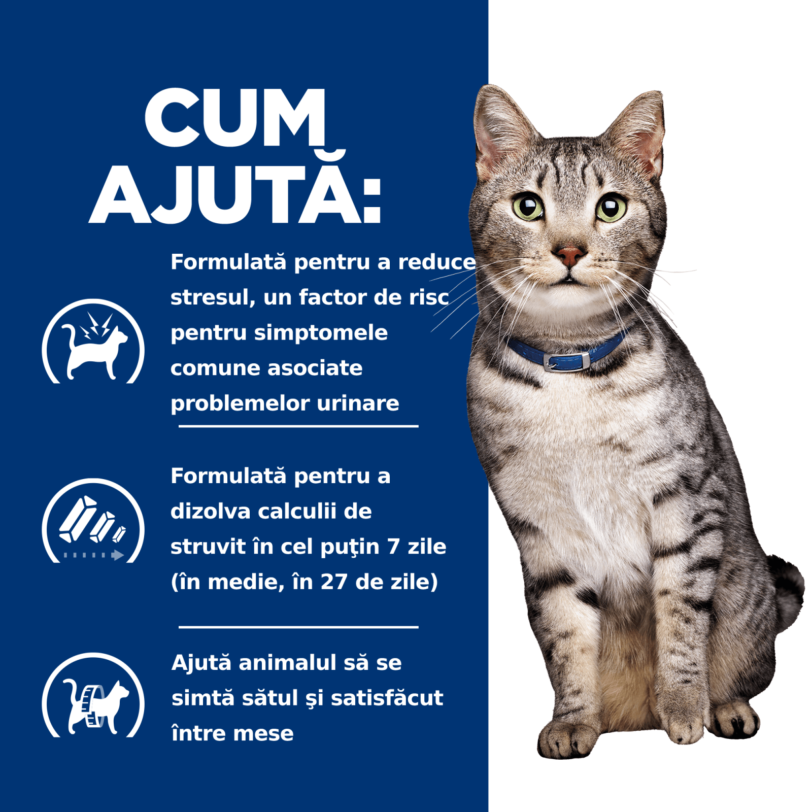 HILL&#039;S Prescription Diet c/d Stress + Metabolic, Pui, dietă veterinară pisici, hrană uscată, sistem urinar, sistem nervos, metabolism, 1.5kg