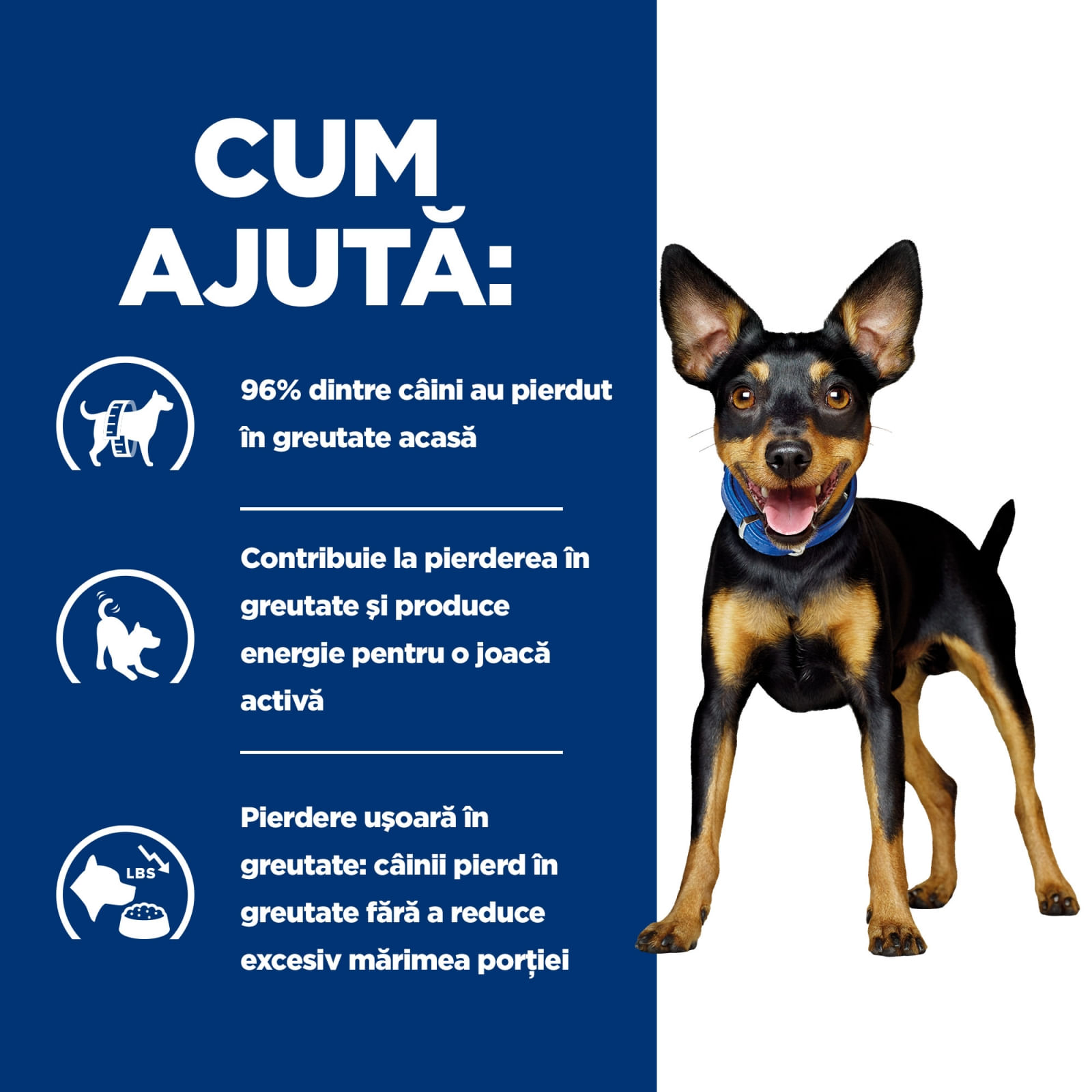 HILL'S Prescription Diet Metabolic, Pui cu Legume, dietă veterinară câini, conservă hrană umedă, afecțiuni metabolice (obezitate) HILL'S Prescription Diet Metabolic Mini, Pui cu Legume, dietă veterinară câini, conservă hrană umedă, metabolism (obezitate