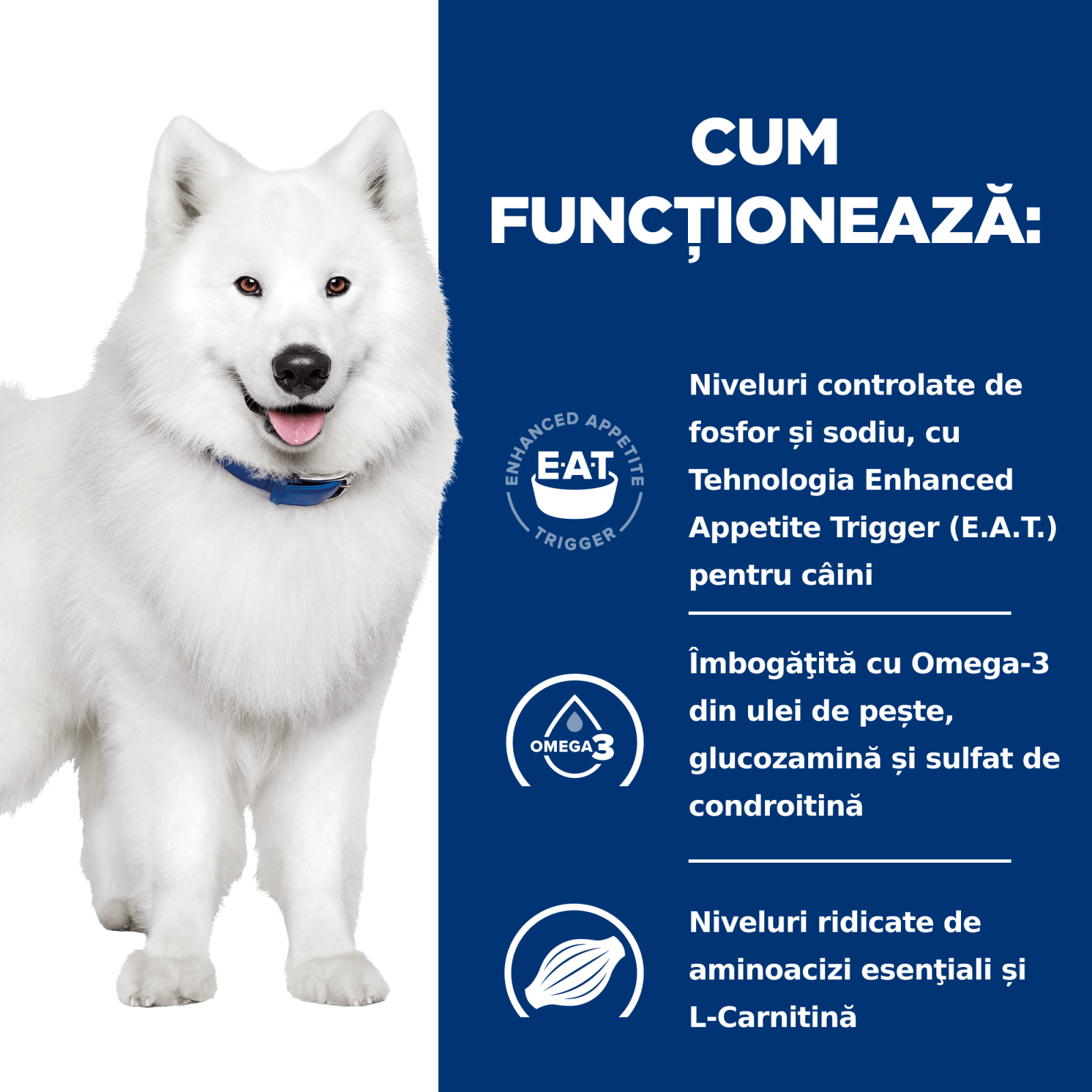 HILL&#039;S Prescription Diet k/d+j/d Kidney Care + Mobility, dietă veterinară câini, hrană uscată, afecțiuni renale și articulare HILL&#039;S Prescription Diet k/d+j/d Kidney Care + Mobility, dietă veterinară câini, hrană uscată, sistem renal, sistem articular, 4