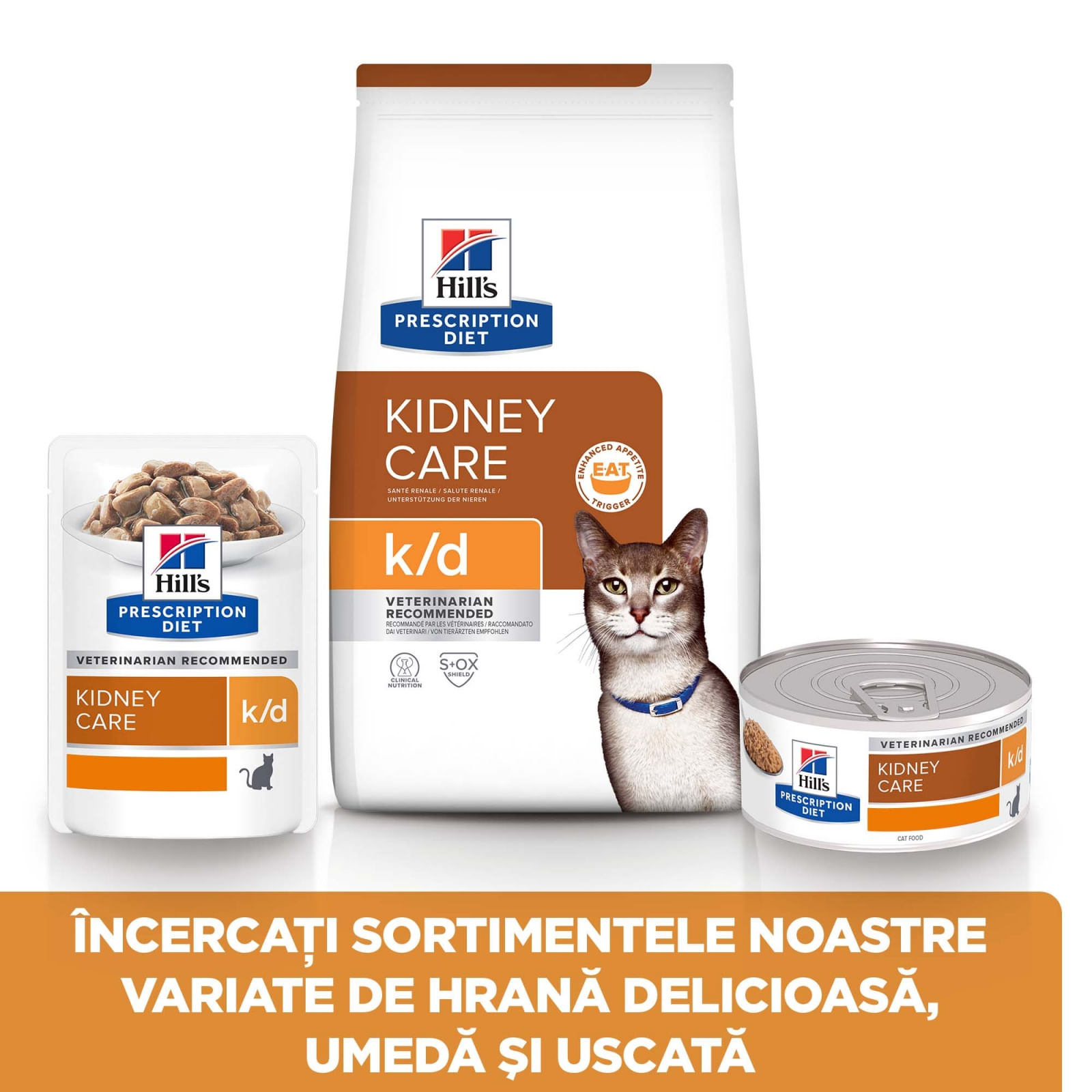 HILL\'S Prescription Diet k/d Kidney Care, Ton, dietă veterinară pisici, hrană uscată, afecțiuni renale HILL\'S Prescription Diet k/d Kidney Care, Ton, dietă veterinară pisici, hrană uscată, sistem renal, 1.5kg - 2 | YEO