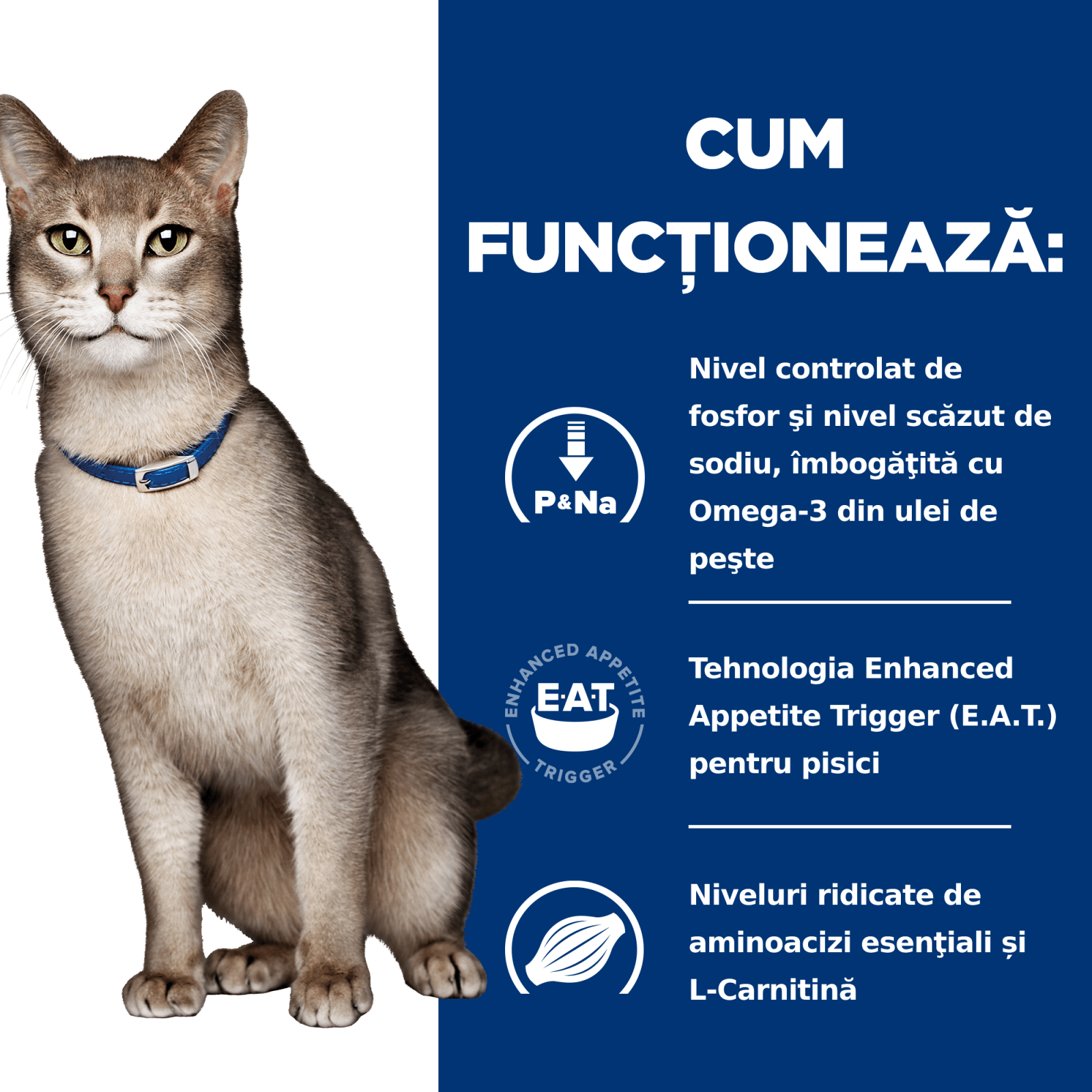 HILL'S Prescription Diet k/d Kidney Care, Ton, dietă veterinară pisici, hrană uscată, afecțiuni renale HILL'S Prescription Diet k/d Kidney Care, Ton, dietă veterinară pisici, hrană uscată, sistem renal, 3kg