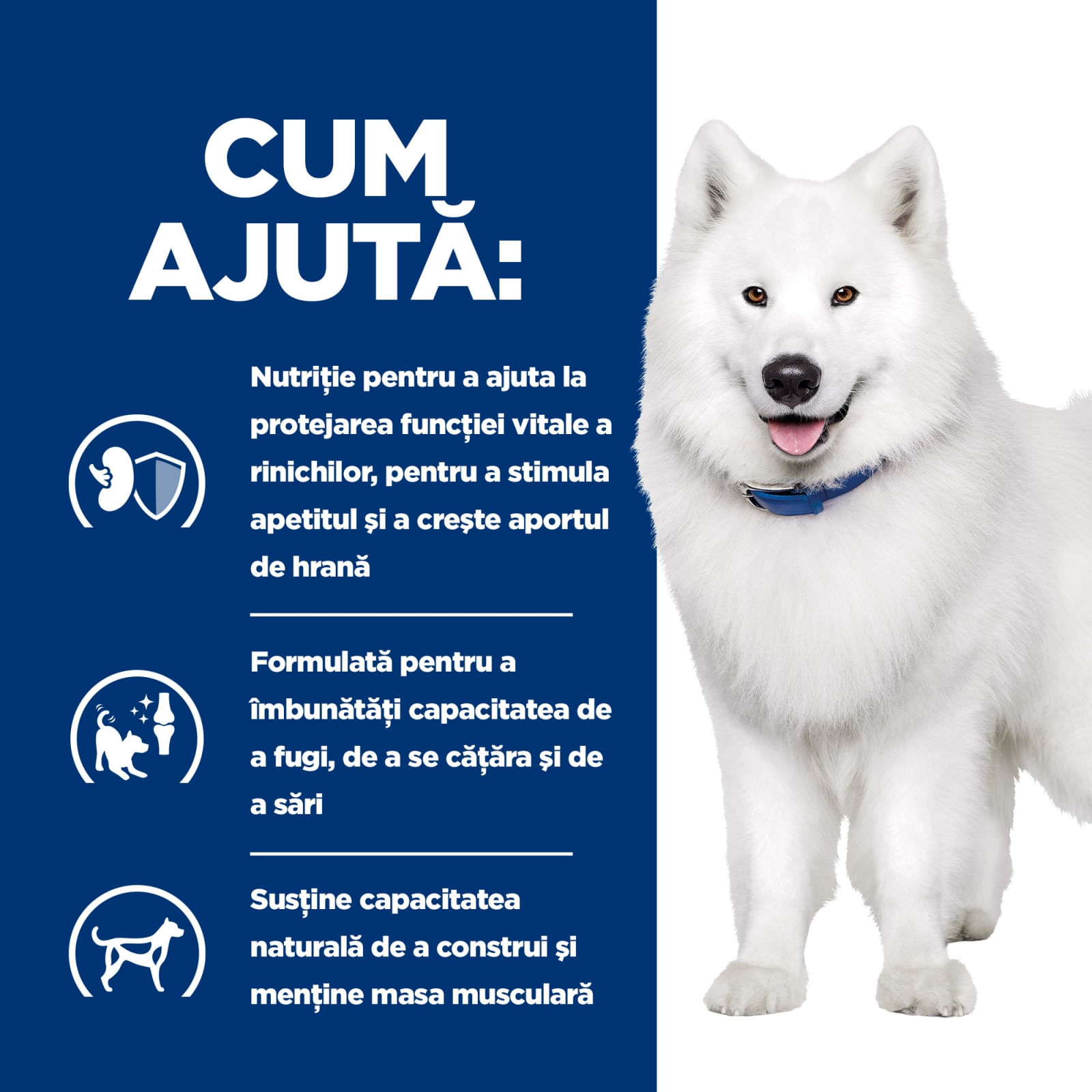 HILL&#039;S Prescription Diet k/d+j/d Kidney Care + Mobility, dietă veterinară câini, hrană uscată, afecțiuni renale și articulare HILL&#039;S Prescription Diet k/d+j/d Kidney Care + Mobility, dietă veterinară câini, hrană uscată, sistem renal, sistem articular, 1