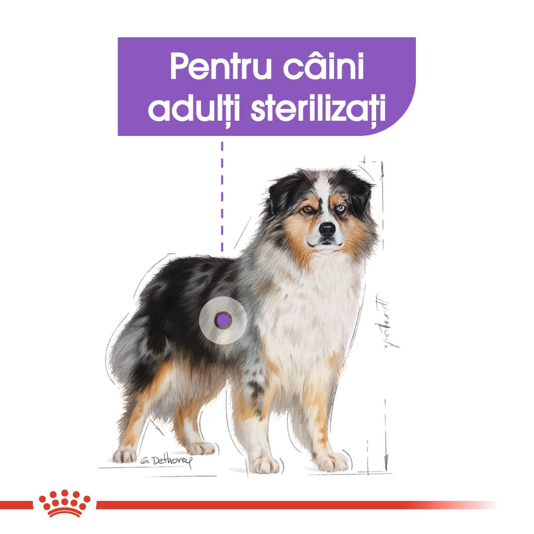 Royal Canin Medium Sterilised Adult, hrană uscată câini sterilizați, 3kg