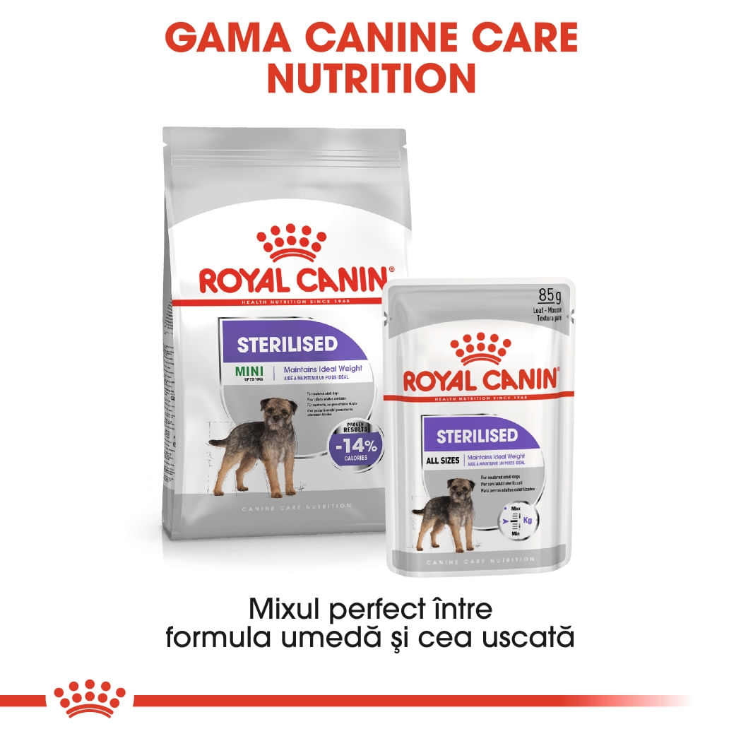 Royal Canin Mini Sterilised Adult, hrană uscată câini sterilizați, 3kg