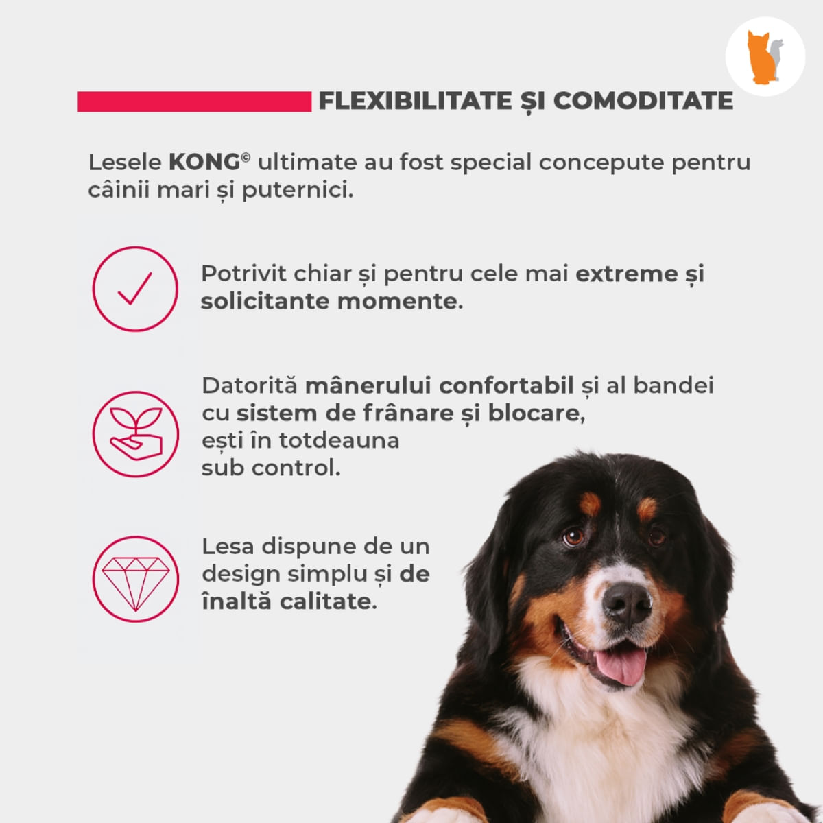 Lesa Retractabila Kong Ultimate 5m-70 Kg, Gri