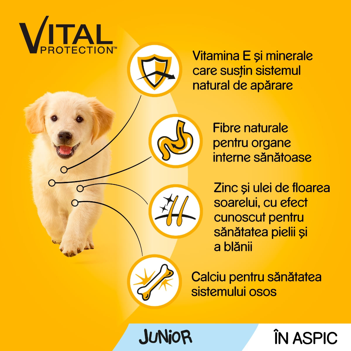 PEDIGREE Vital Protection Junior Multipack, 4 arome, pachet mixt, plic hrană umedă câini junior, (în aspic), 100g x 12