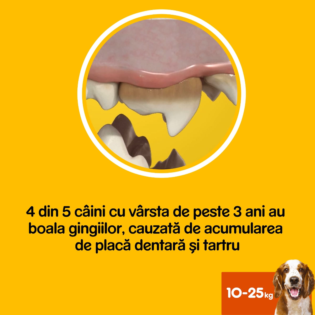 PEDIGREE DentaStix Daily Fresh, recompense câini talie medie, batoane, ceai verde, 7buc