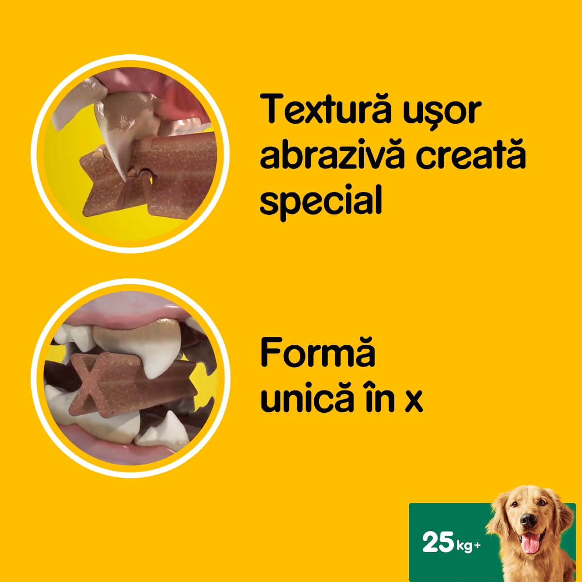 PEDIGREE DentaStix Daily Fresh, recompense câini talie mare, batoane, ceai verde, 7buc