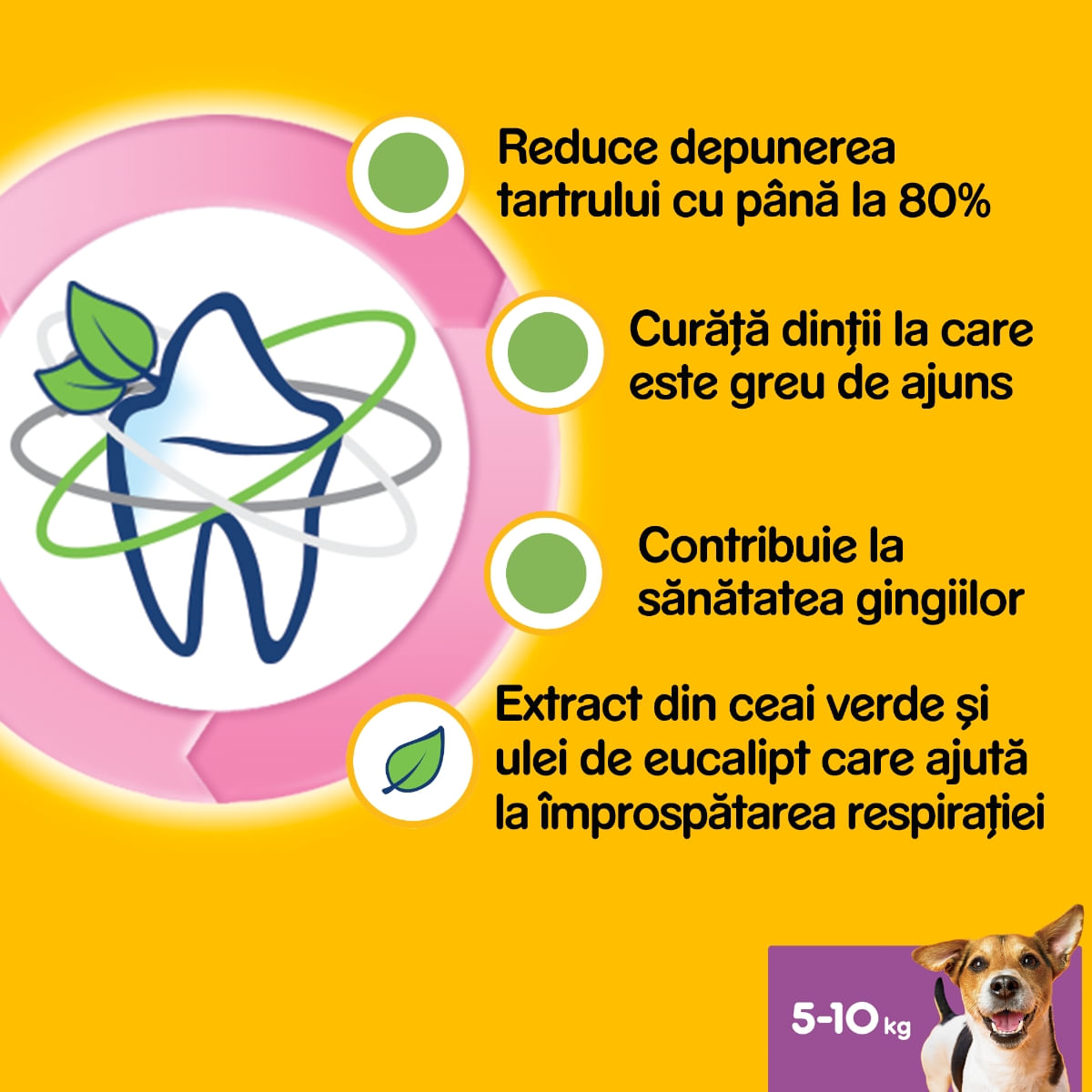 PEDIGREE DentaStix Daily Fresh, recompense câini talie mica, batoane, ceai verde, 7buc
