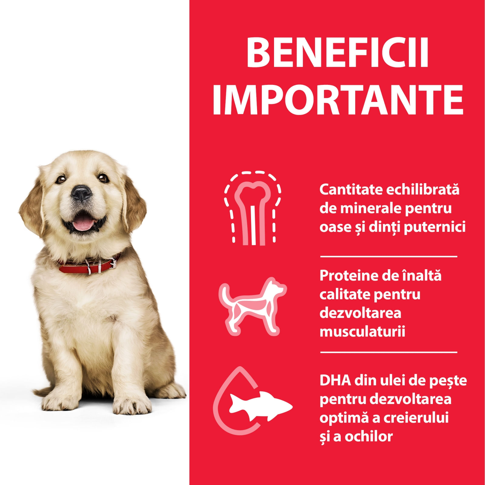 HILL&#039;S Science Plan Puppy L, Pui, hrană uscată câini junior Hill&#039;s SP Canine Puppy Large Breed Pui, Value Pack, 16 Kg
