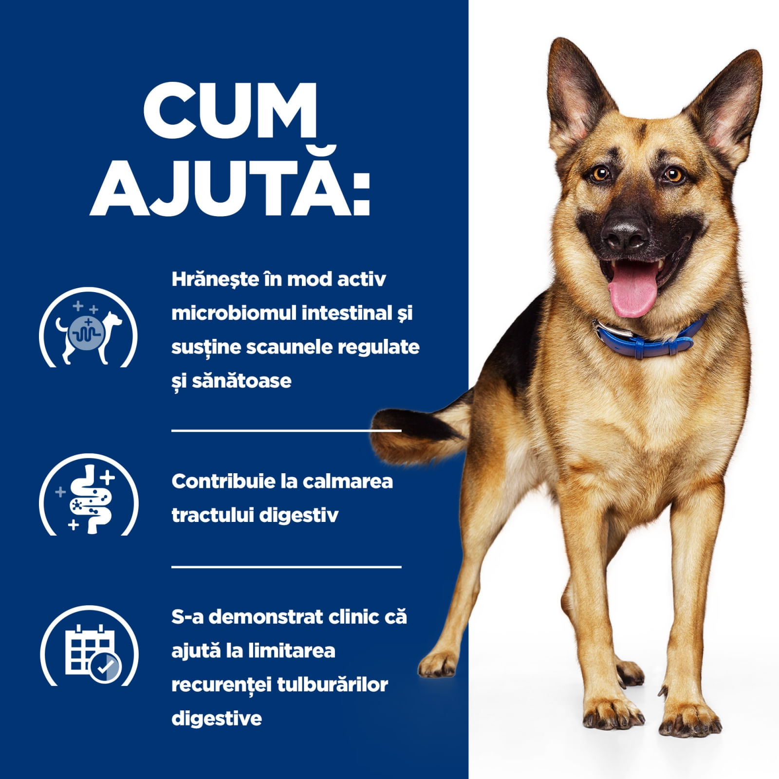 HILL&#039;S Prescription Diet Gastrointestinal Biome, Pui, dietă veterinară câini, hrană uscată, afecțiuni digestive HILL&#039;S Prescription Diet Gastrointestinal Biome, Pui, dietă veterinară câini, hrană uscată, sistem digestiv, 1.5kg