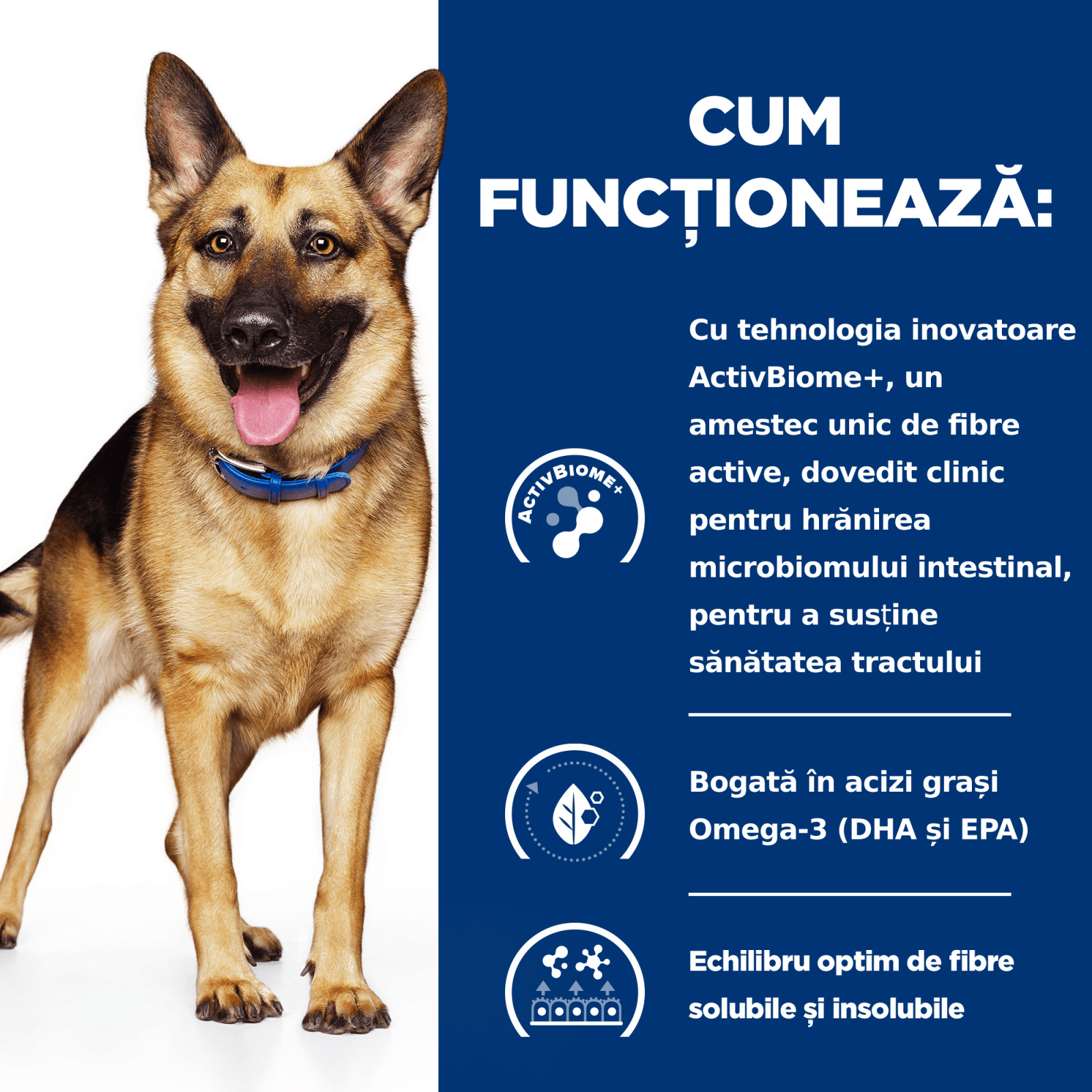 HILL&#039;S Prescription Diet Gastrointestinal Biome, Pui, dietă veterinară câini, hrană uscată, afecțiuni digestive HILL&#039;S Prescription Diet Gastrointestinal Biome, Pui, dietă veterinară câini, hrană uscată, sistem digestiv, 1.5kg