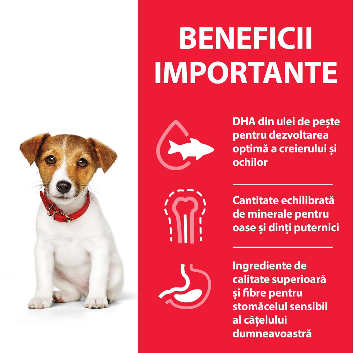 HILL&#039;S Science Plan Puppy XS-S, Pui, hrană uscată câini junior, 6kg