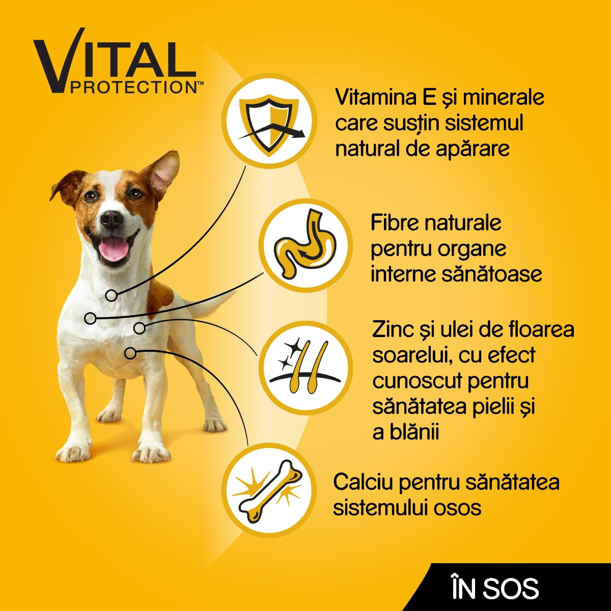 PEDIGREE Vital Protection Adult Multipack, 2 arome (Vita si Miel, Curcan), pachet mixt, plic hrană umedă câini, (în sos), 100g x 4