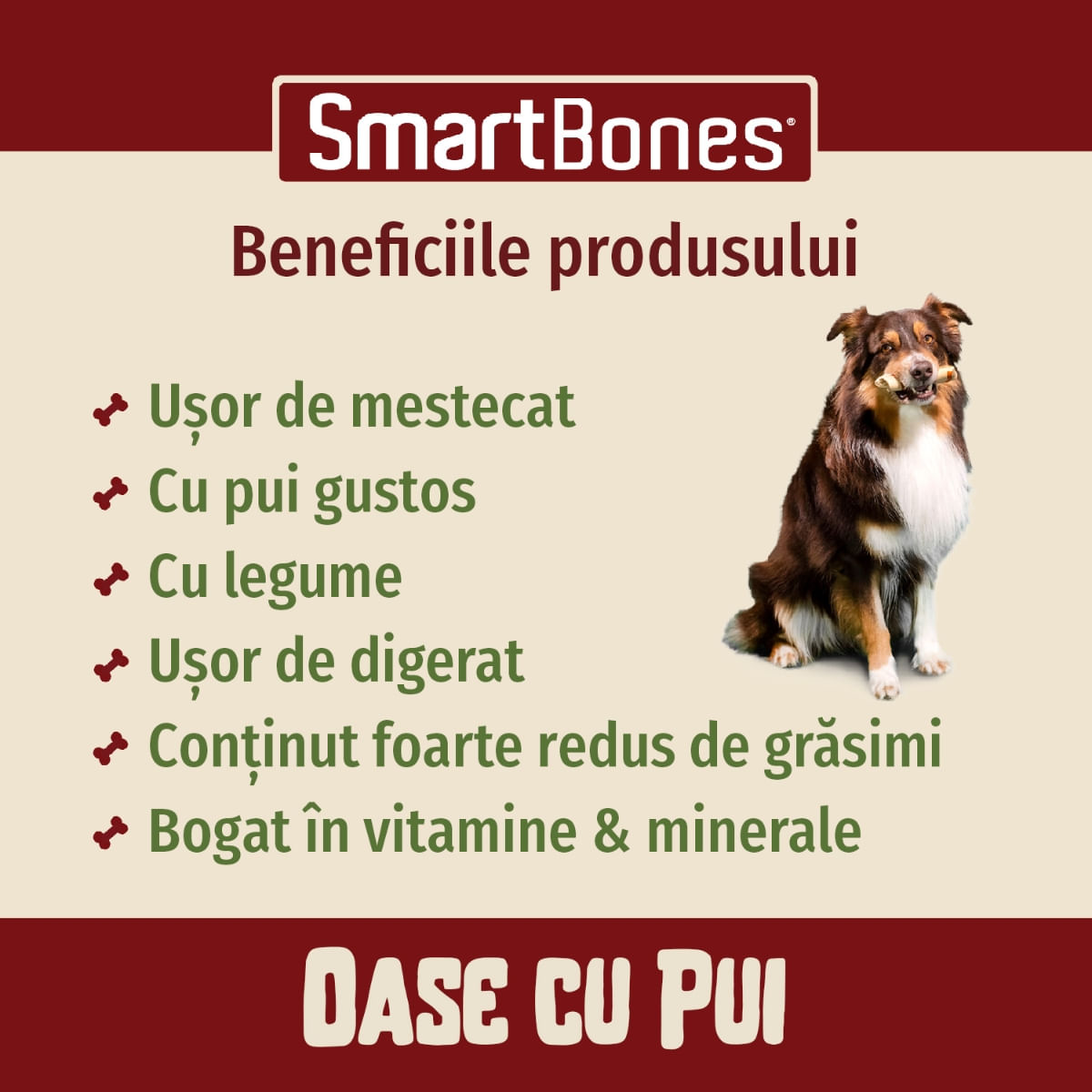 SMARTBONES Classics Chicken Bone Large, recompense câini, Os aromat Pui