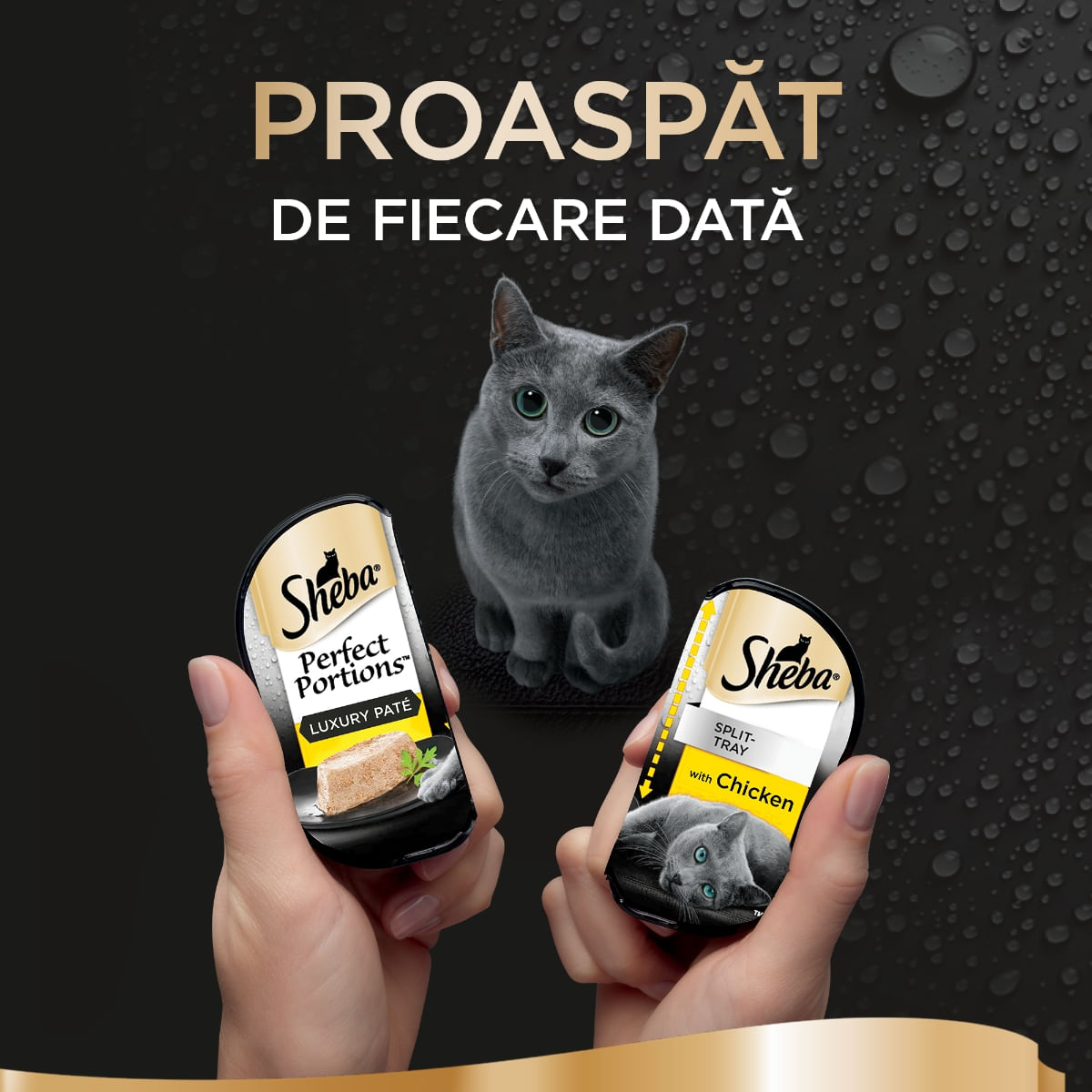 SHEBA Perfect Portions, Pui, tăviță hrană umedă pisici, (pate), multipack, 37.5g x 6buc