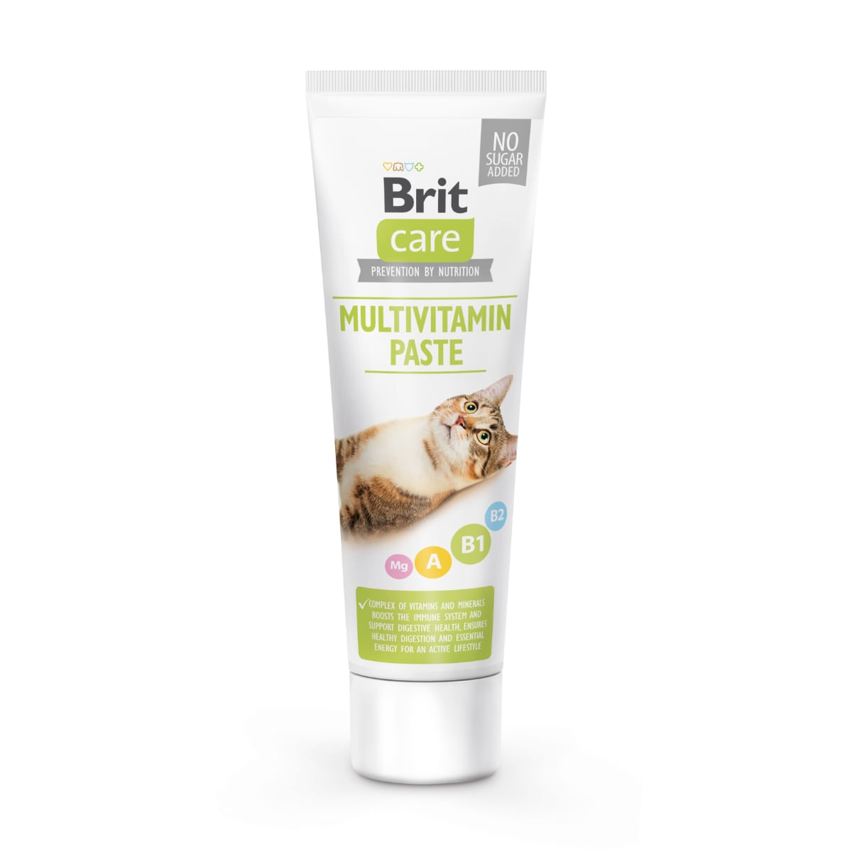 BRIT Care Paste Multivitamin, recompense funcționale pisici, multivitamine, pastă, 100g - 1 | YEO