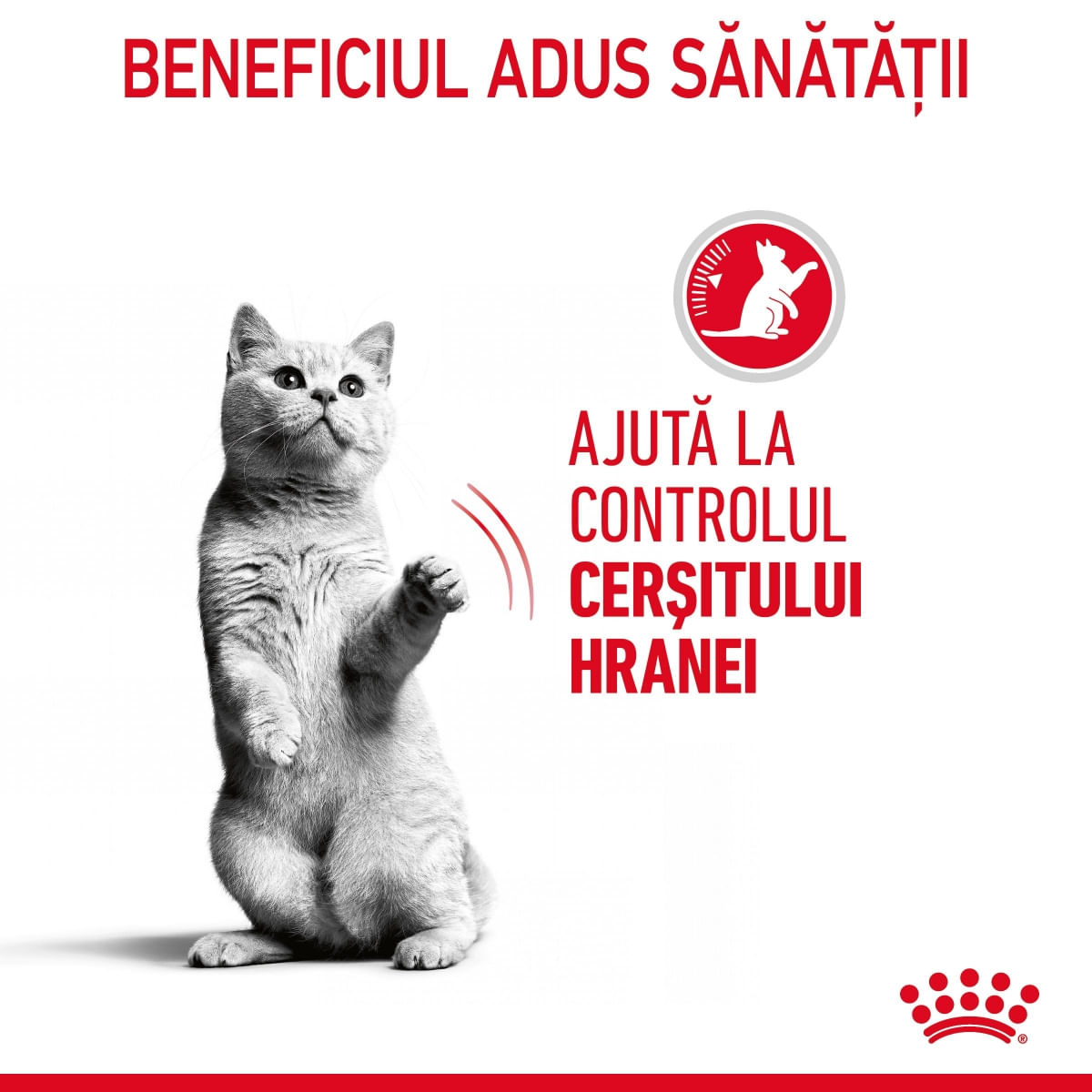 ROYAL CANIN Appetite Control Care, hrană umedă pisici, adult sterilizat, reglarea apetitului, (în sos) ROYAL CANIN Feline Care Nutrition Appetite Control Care, plic hrană umedă pisici, managementul greutății, (în sos), 85g