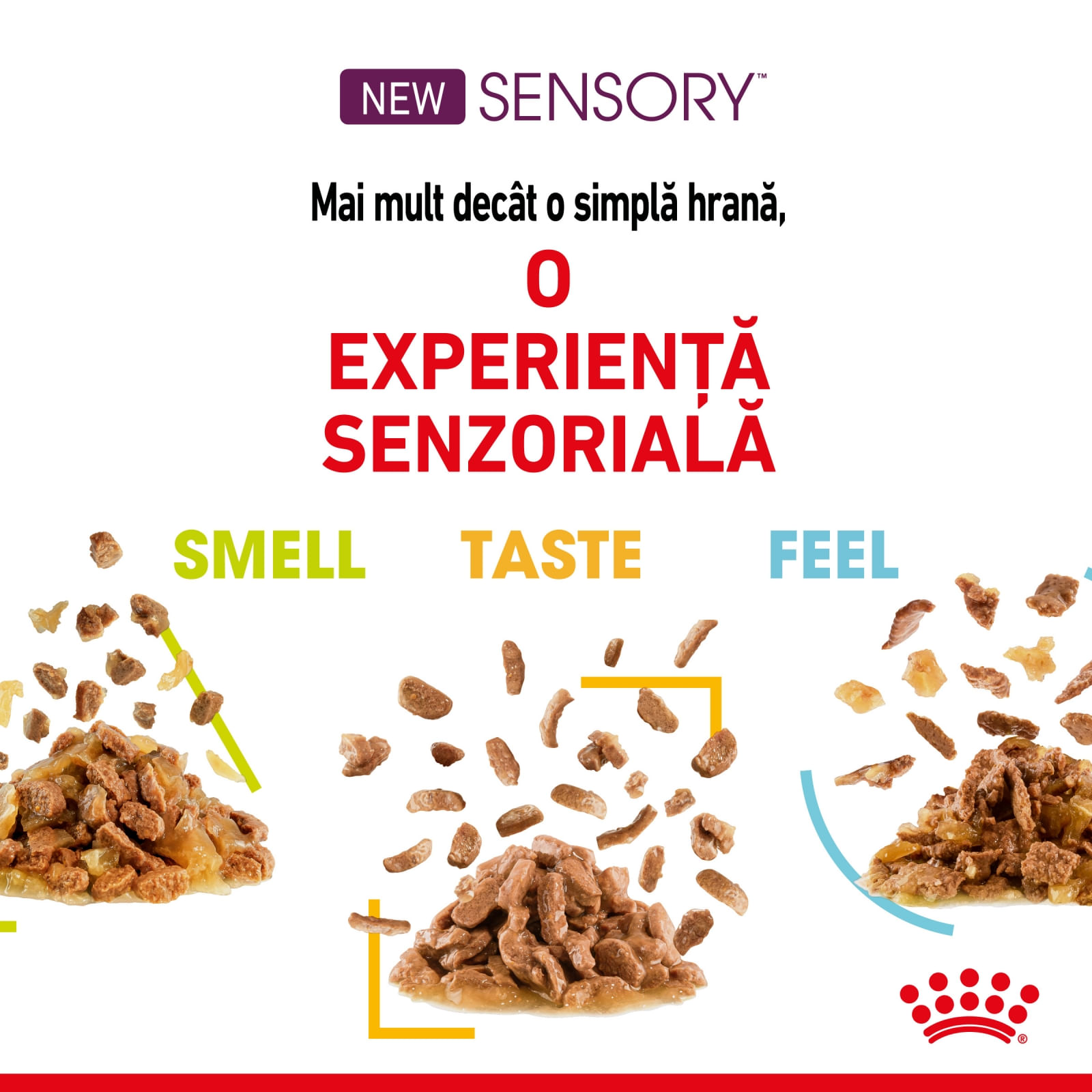 Royal Canin Sensory, pachet mixt, plic hrană umedă pisici, stimularea simțurilor (în sos), 85g x 12