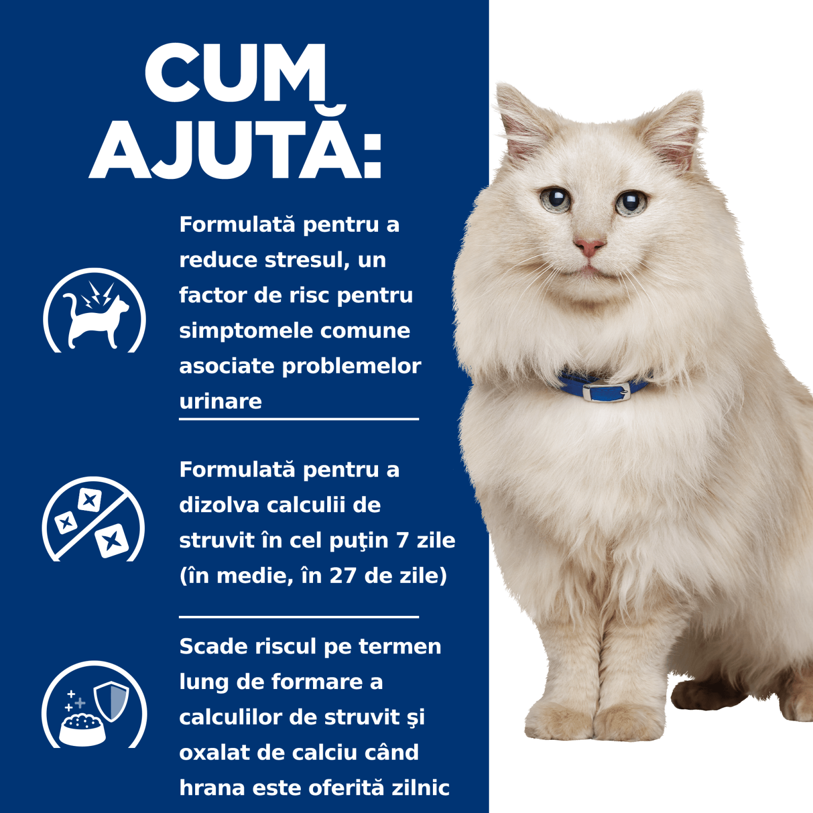 HILL&#039;S Prescription Diet c/d Multicare Stress, Pește oceanic, dietă veterinară pisici, hrană uscată, sistem urinar, sistem nervos, 8kg