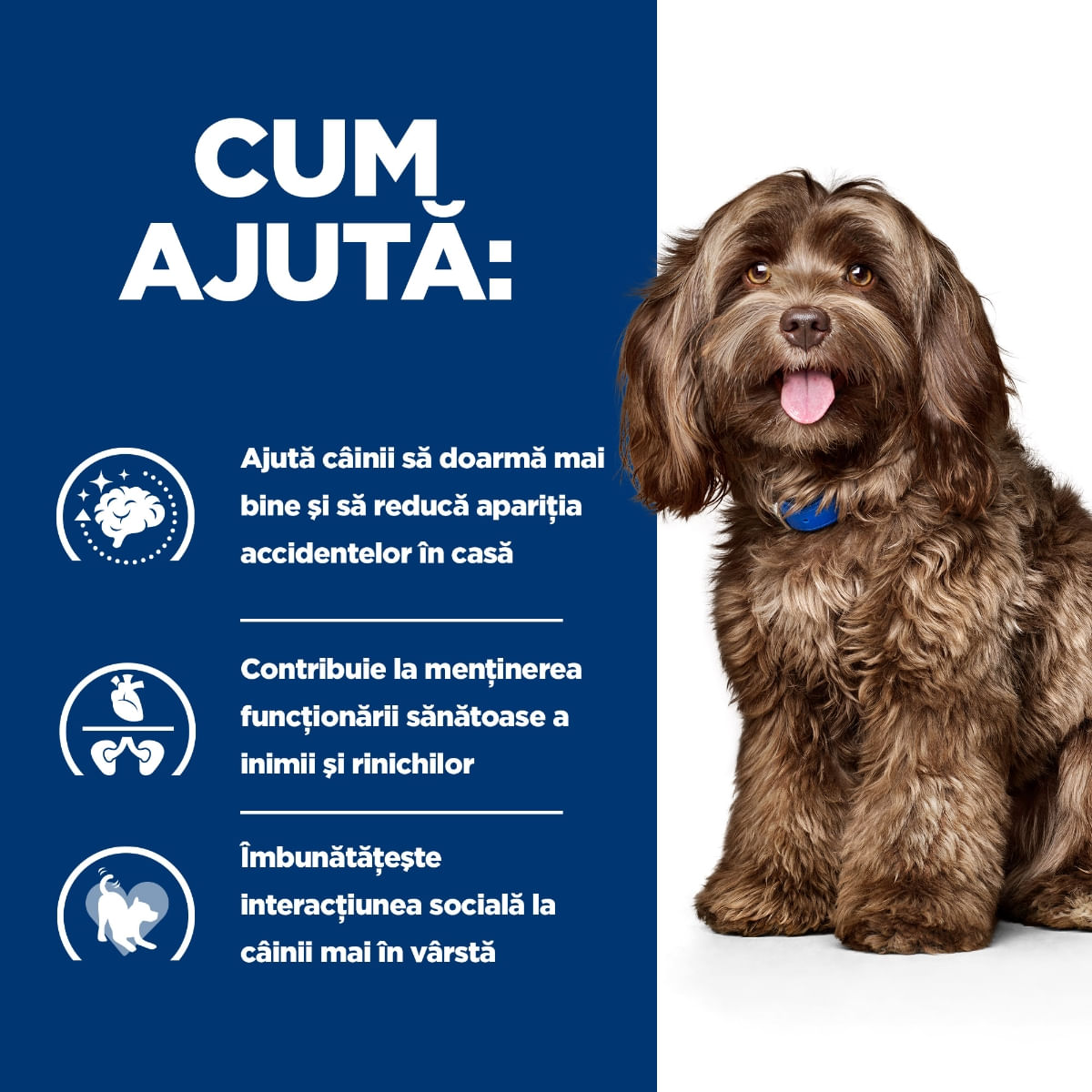 HILL&#039;S Prescription Diet b/d Ageing and Alertness Care, Pui, dietă veterinară câini senior, hrană uscată, 12kg