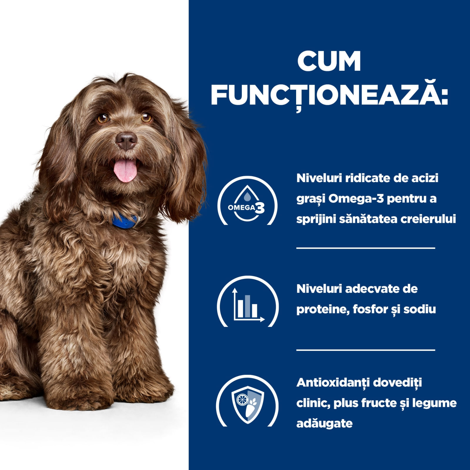 HILL&#039;S Prescription Diet b/d Ageing and Alertness Care, Pui, dietă veterinară câini senior, hrană uscată, sistem nervos &amp; calmante, 3kg