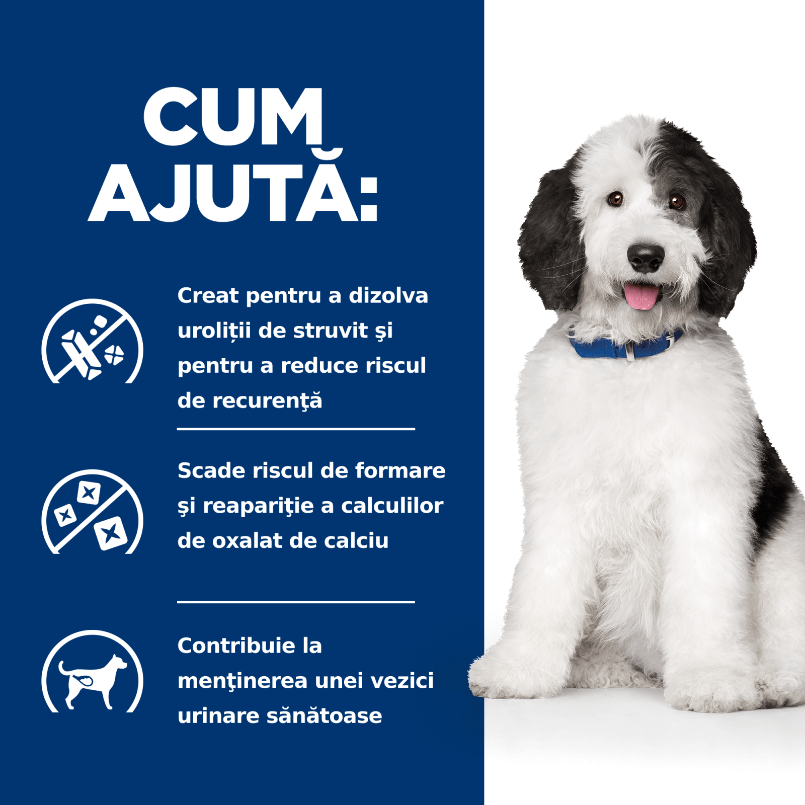 HILL&#039;S Prescription Diet c/d Urinary + Weight Care, Pui, dietă veterinară câini, hrană uscată, afecțiuni urinare și controlul greutății HILL&#039;S Prescription Diet c/d Urinary Care, Pui, dietă veterinară câini, hrană uscată, sistem urinar, 12kg
