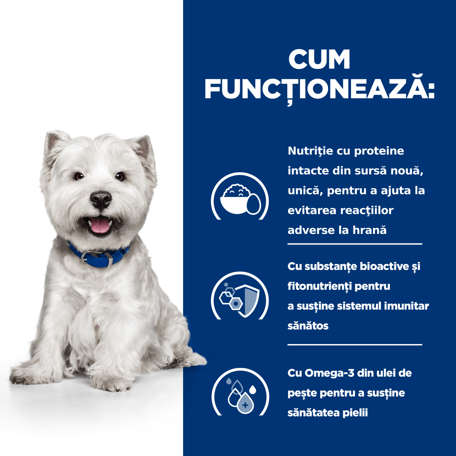 HILL&#039;S Prescription Diet Derm Complete Mini, dietă veterinară câini, hrană uscată, afecțiuni dermatologice HILL&#039;S Prescription Diet Derm Complete Mini, dietă veterinară câini, hrană uscată, piele &amp; blana, 1kg
