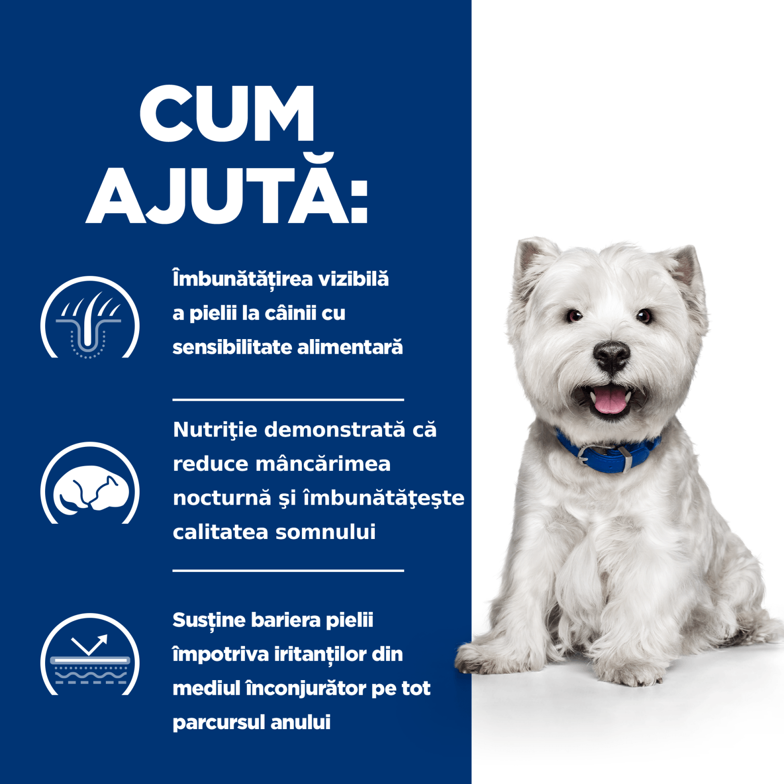 HILL&#039;S Prescription Diet Derm Complete Mini, dietă veterinară câini, hrană uscată, afecțiuni dermatologice HILL&#039;S Prescription Diet Derm Complete Mini, dietă veterinară câini, hrană uscată, piele &amp; blana, 1kg