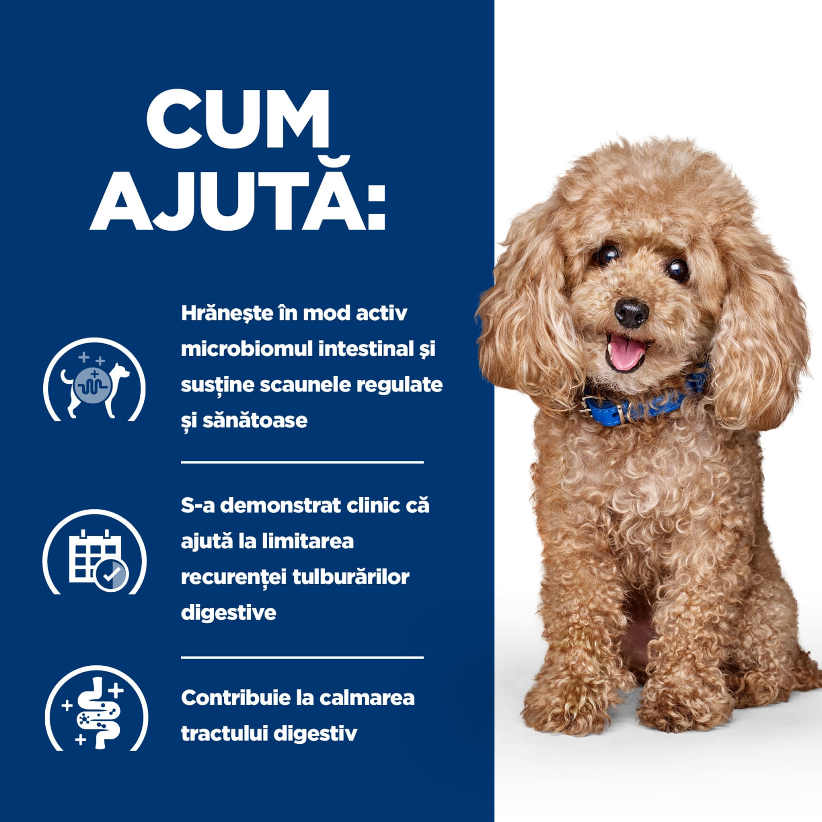 HILL'S Prescription Diet Gastrointestinal Biome Mini, Pui, dietă veterinară câini, hrană uscată, afecțiuni digestive HILL'S Prescription Diet Gastrointestinal Biome Mini, Pui, dietă veterinară câini, hrană uscată, sistem digestiv, 1kg