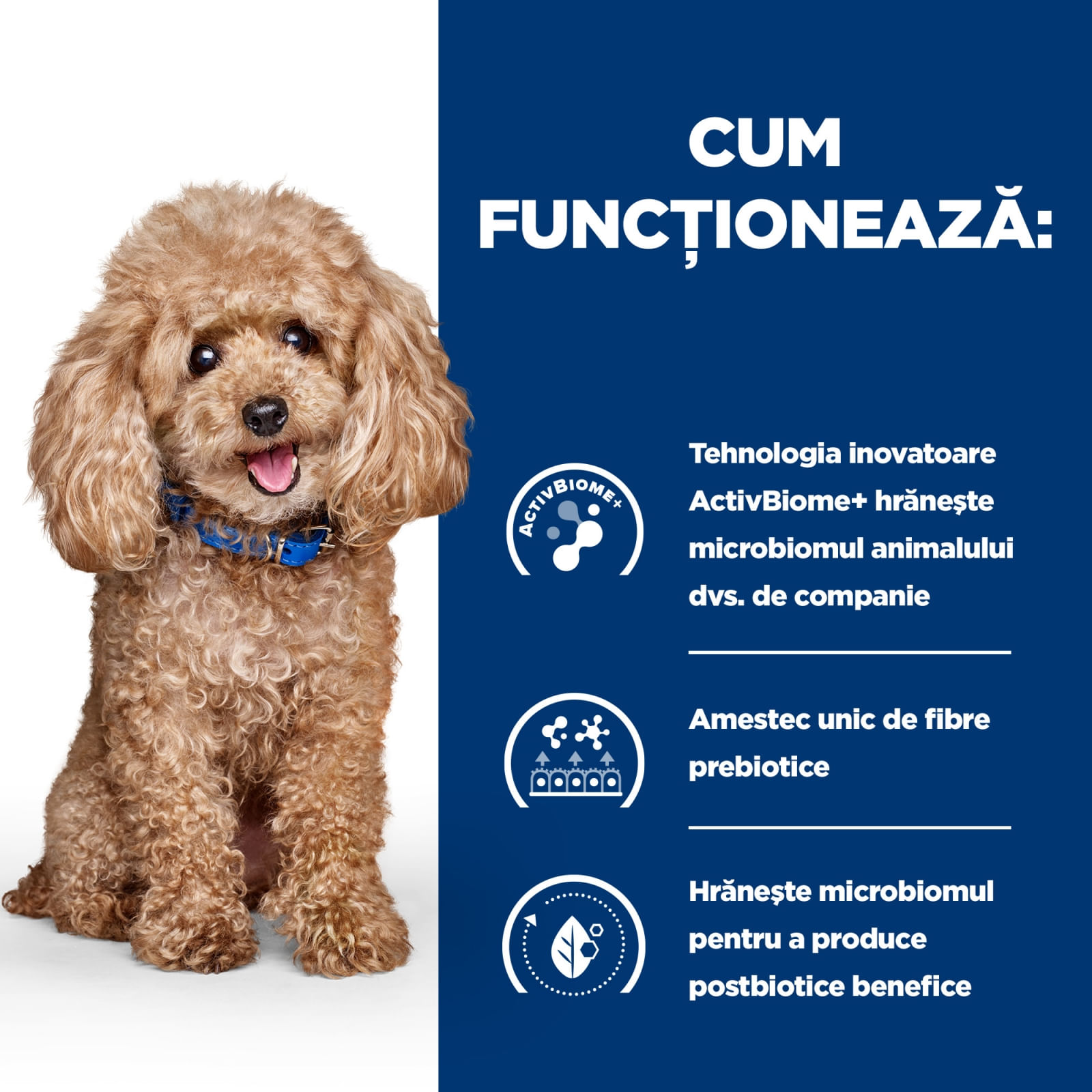 HILL'S Prescription Diet Gastrointestinal Biome Mini, Pui, dietă veterinară câini, hrană uscată, afecțiuni digestive HILL'S Prescription Diet Gastrointestinal Biome Mini, Pui, dietă veterinară câini, hrană uscată, sistem digestiv, 1kg