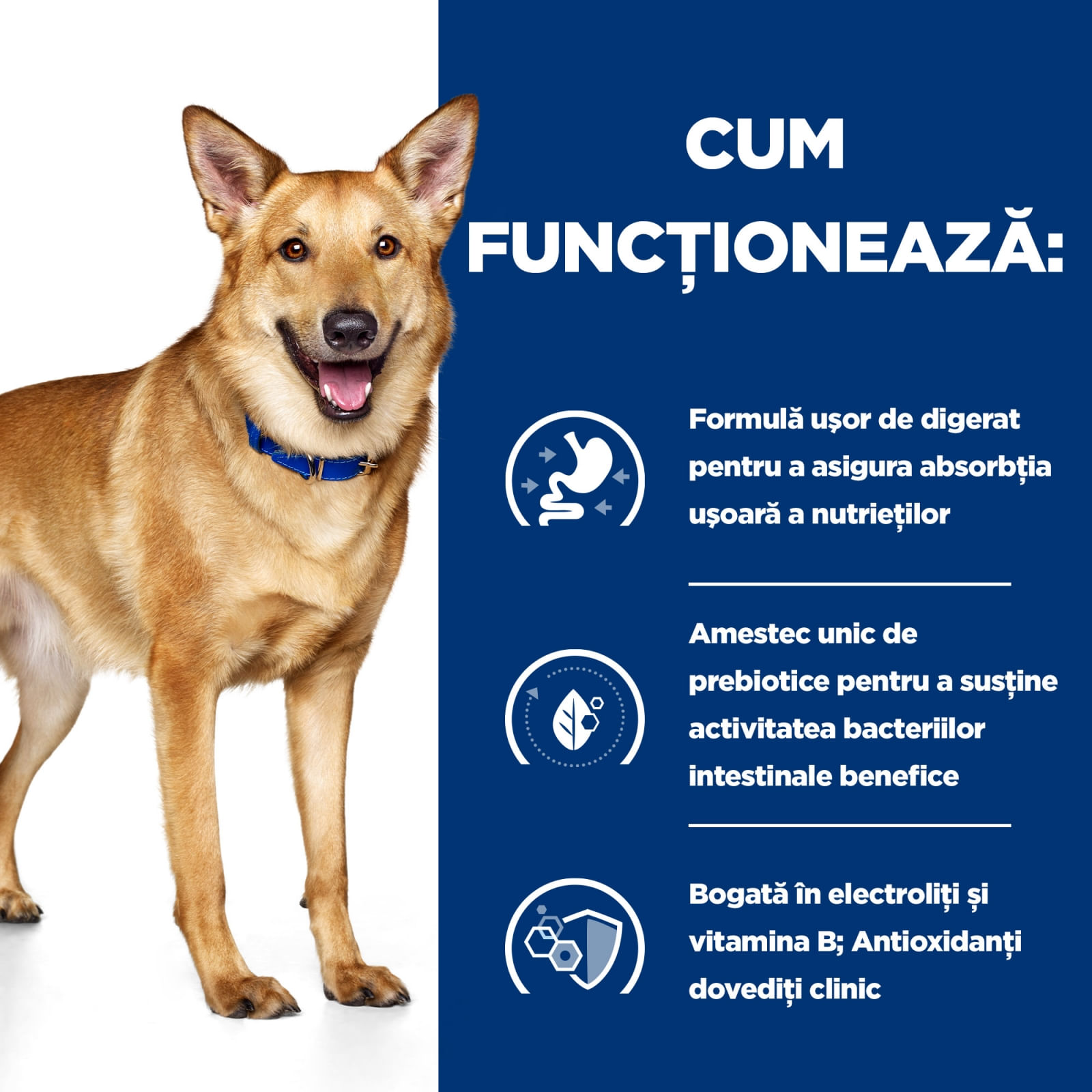 HILL&#039;Sss Prescription Diet i/d Digestive Care, Pui, dietă veterinară câini, hrană uscată, sensibilități digestive HILL&#039;S Prescription Diet i/d Digestive Care, Pui, dietă veterinară câini, hrană uscată, sistem digestiv, 16kg