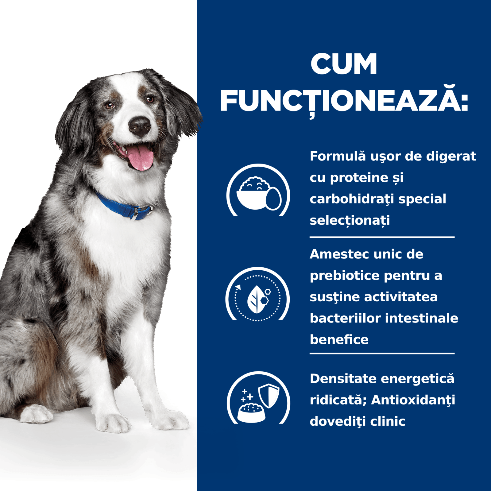 HILL&#039;S Prescription Diet i/d Sensitive Digestive Care, Ou și Orez, dietă veterinară câini, hrană uscată, sensibilități digestive HILL&#039;S Prescription Diet i/d Sensitive Digestive Care, Ou și Orez, dietă veterinară câini, hrană uscată, sistem digestiv, 12k