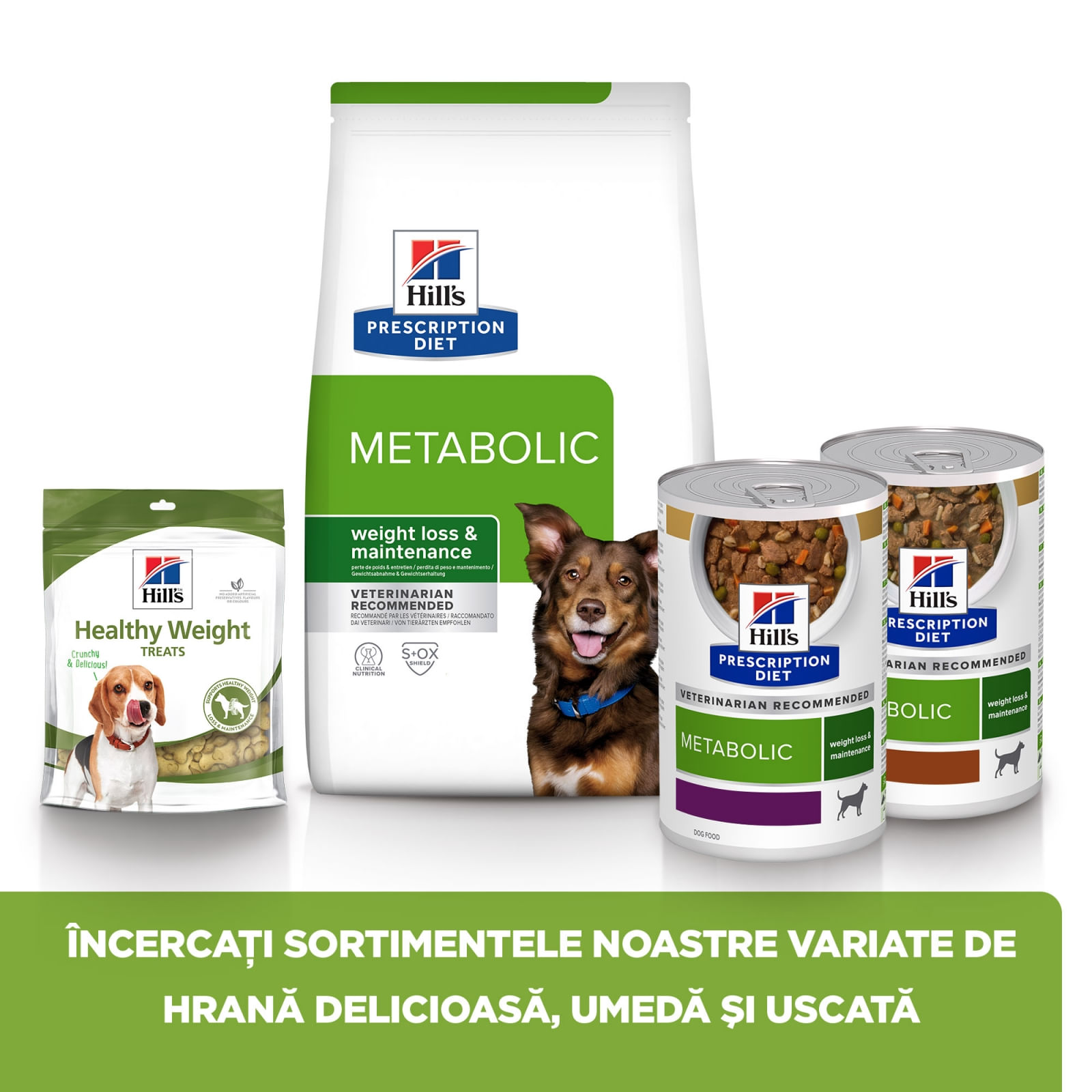 HILL&#039;S Prescription Diet Metabolic, Miel cu Orez, dietă veterinară câini, hrană uscată, afecțiuni metabolice (obezitate) HILL&#039;S Prescription Diet Metabolic, Miel cu Orez, dietă veterinară câini, hrană uscată, metabolism (obezitate si diabet), 1.5kg