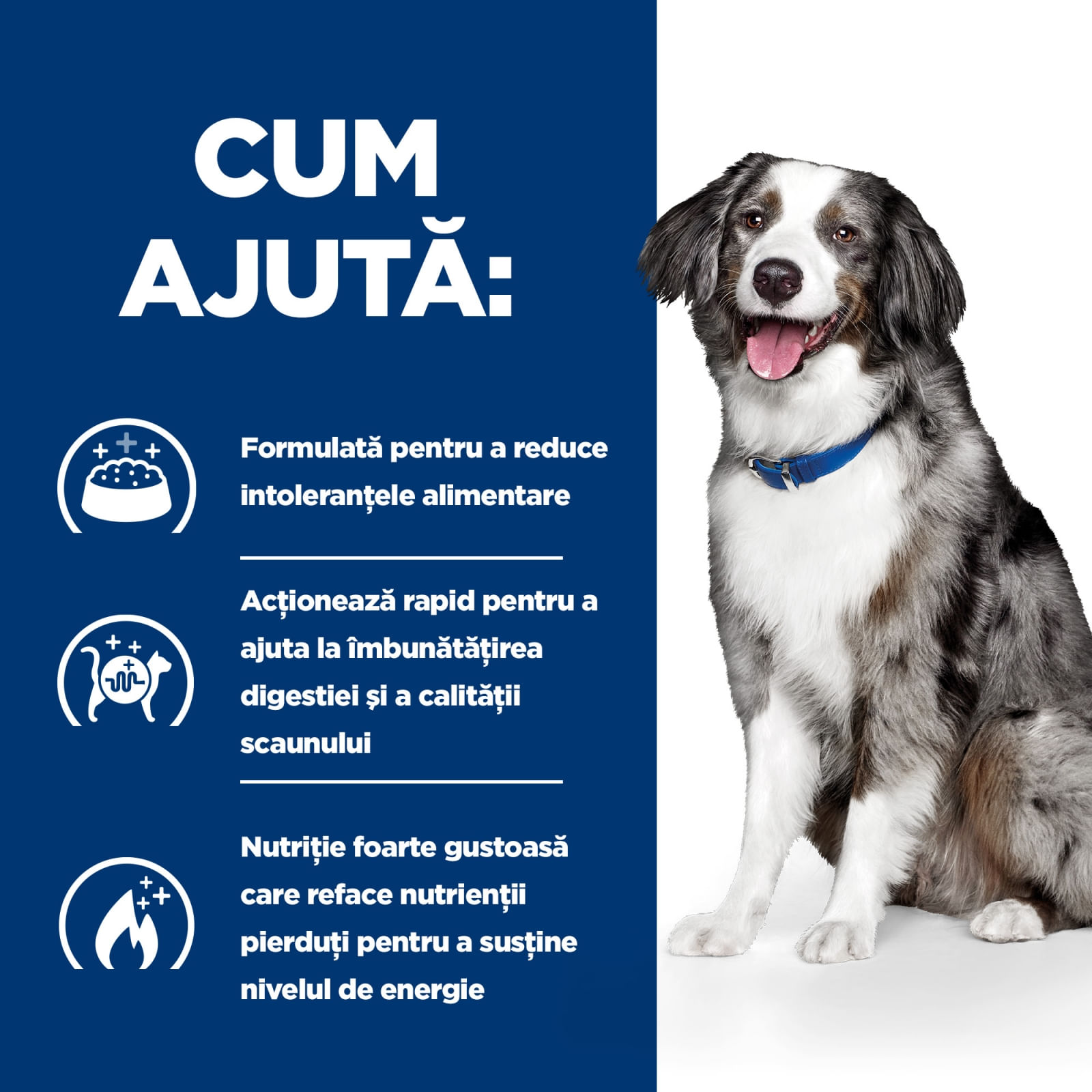 HILL&#039;S Prescription Diet i/d Sensitive Digestive Care, Ou și Orez, dietă veterinară câini, hrană uscată, sensibilități digestive HILL&#039;S Prescription Diet i/d Sensitive Digestive Care, Ou și Orez, dietă veterinară câini, hrană uscată, sistem digestiv, 1.5