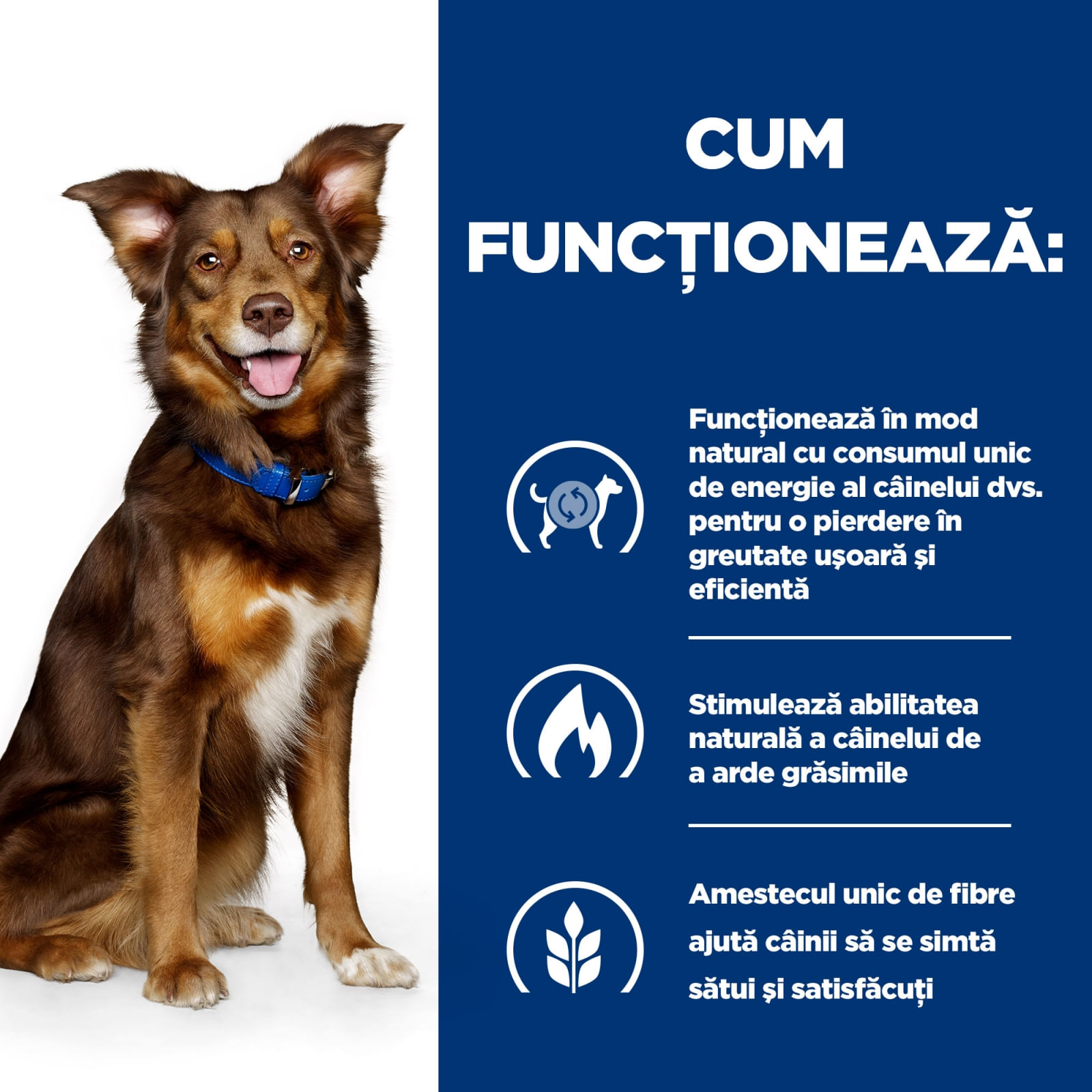 HILL&#039;S Prescription Diet Metabolic, Miel cu Orez, dietă veterinară câini, hrană uscată, afecțiuni metabolice (obezitate) HILL&#039;S Prescription Diet Metabolic, Miel cu Orez, dietă veterinară câini, hrană uscată, metabolism (obezitate si diabet), 1.5kg