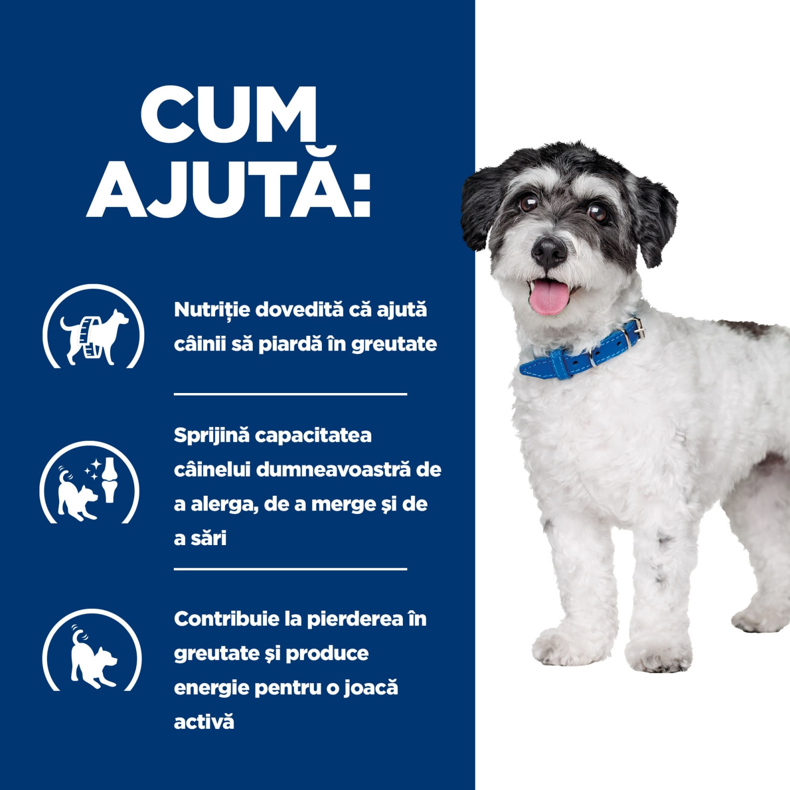 HILL'S Prescription Diet Metabolic + Weight Mini, dietă veterinară câini, hrană uscată, afecțiuni metabolice (obezitate) HILL'S Prescription Diet Metabolic + Mobility Mini, dietă veterinară câini, hrană uscată, metabolism (obezitate si diabet), sistem ar