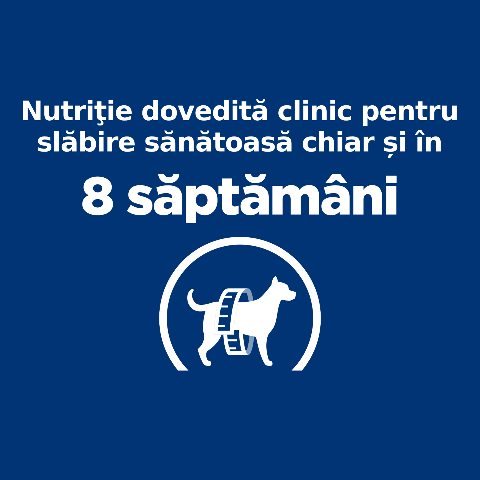 HILL\'S Prescription Diet r/d Weight Loss, Pui, dietă veterinară câini, hrană uscată, scădere în greutate HILL\'S Prescription Diet r/d Weight Loss, Pui, dietă veterinară câini, hrană uscată, metabolism (obezitate si diabet), 1.5kg - 3 | YEO