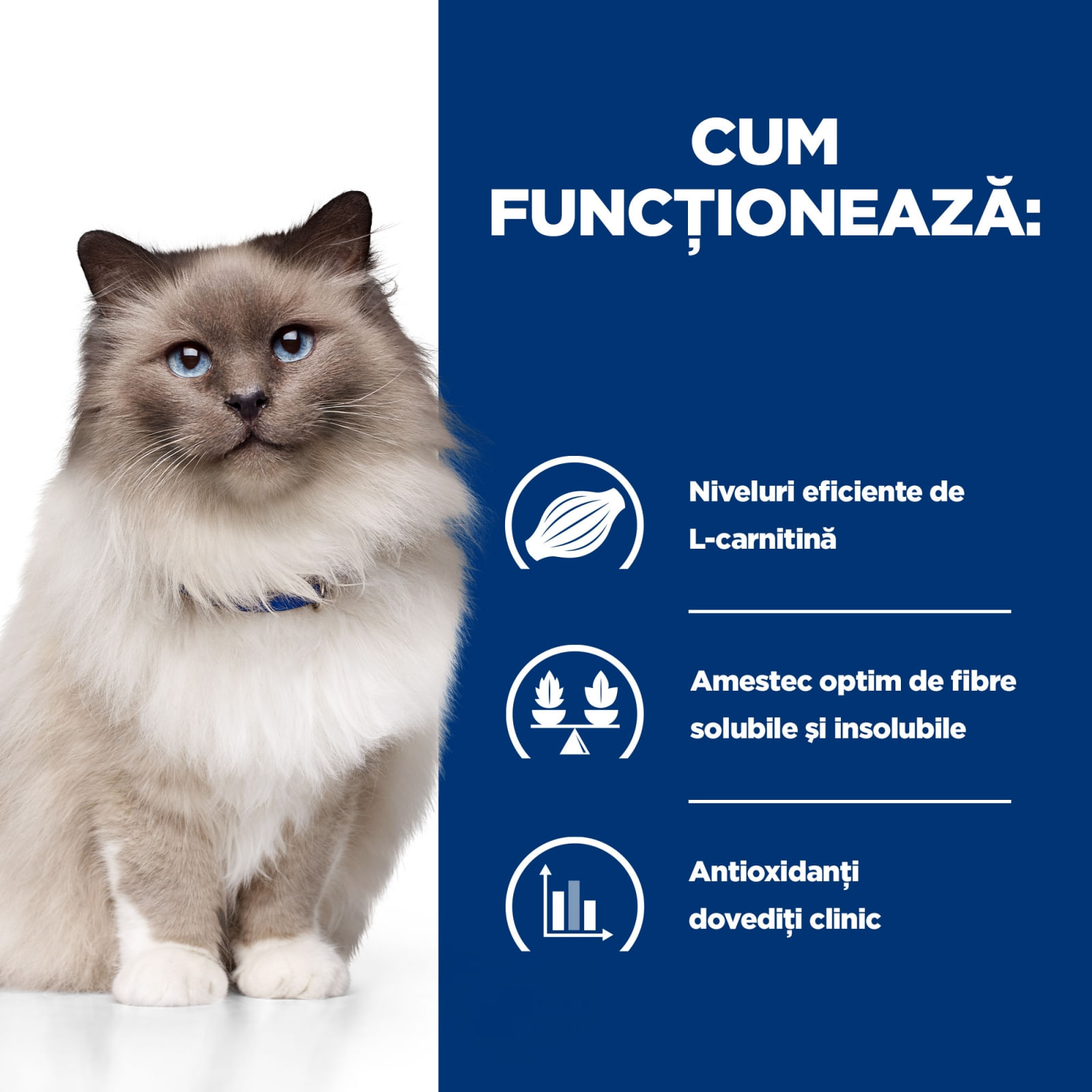 HILL'S Prescription Diet r/d Wheight Loss, Pui, dietă veterinară pisici, hrană uscată, scădere în greutate HILL'S Prescription Diet r/d Wheight Loss, Pui, dietă veterinară pisici, hrană uscată, metabolism (obezitate si diabet), 3kg