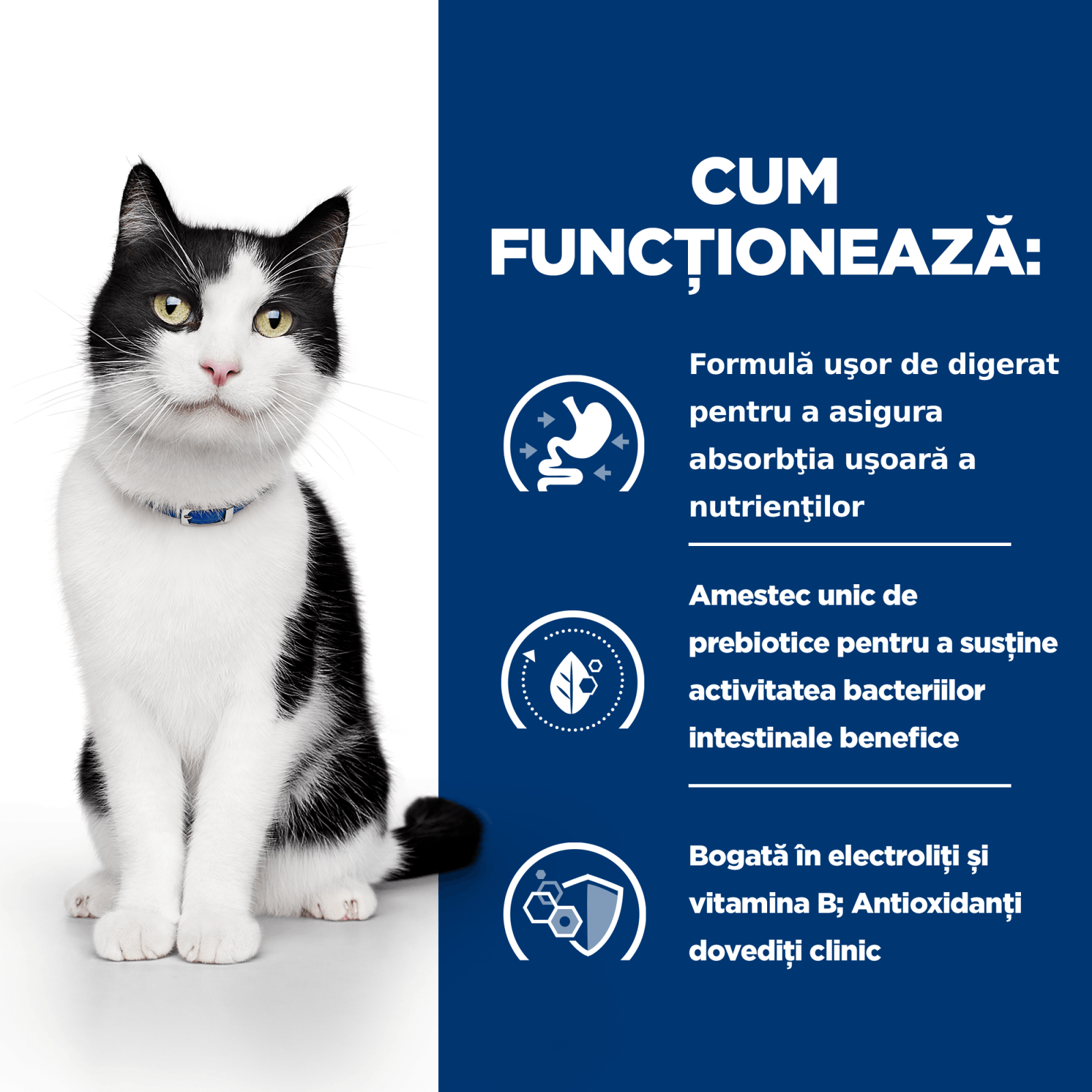 HILL'S Prescription Diet i/d Sensitive Digestive Care, Pui, dietă veterinară pisici, hrană uscată, sensibilități digestive HILL'S Prescription Diet i/d Sensitive Digestive Care, Pui, dietă veterinară pisici, hrană uscată, sistem digestiv, 8kg